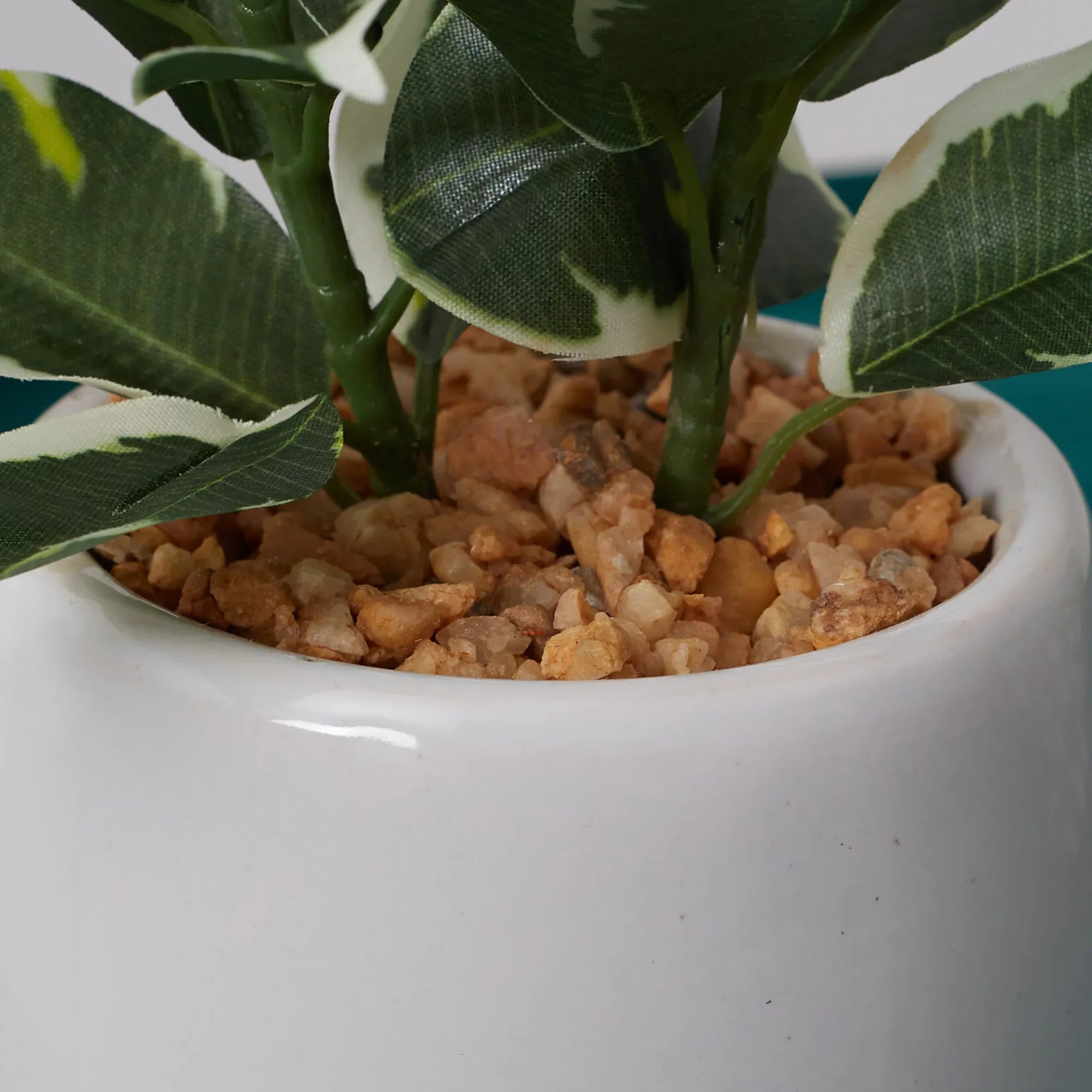 Ilana Faux Quercus Ceramic Potted Plant 23 Cm in Green Colour - HomeTown