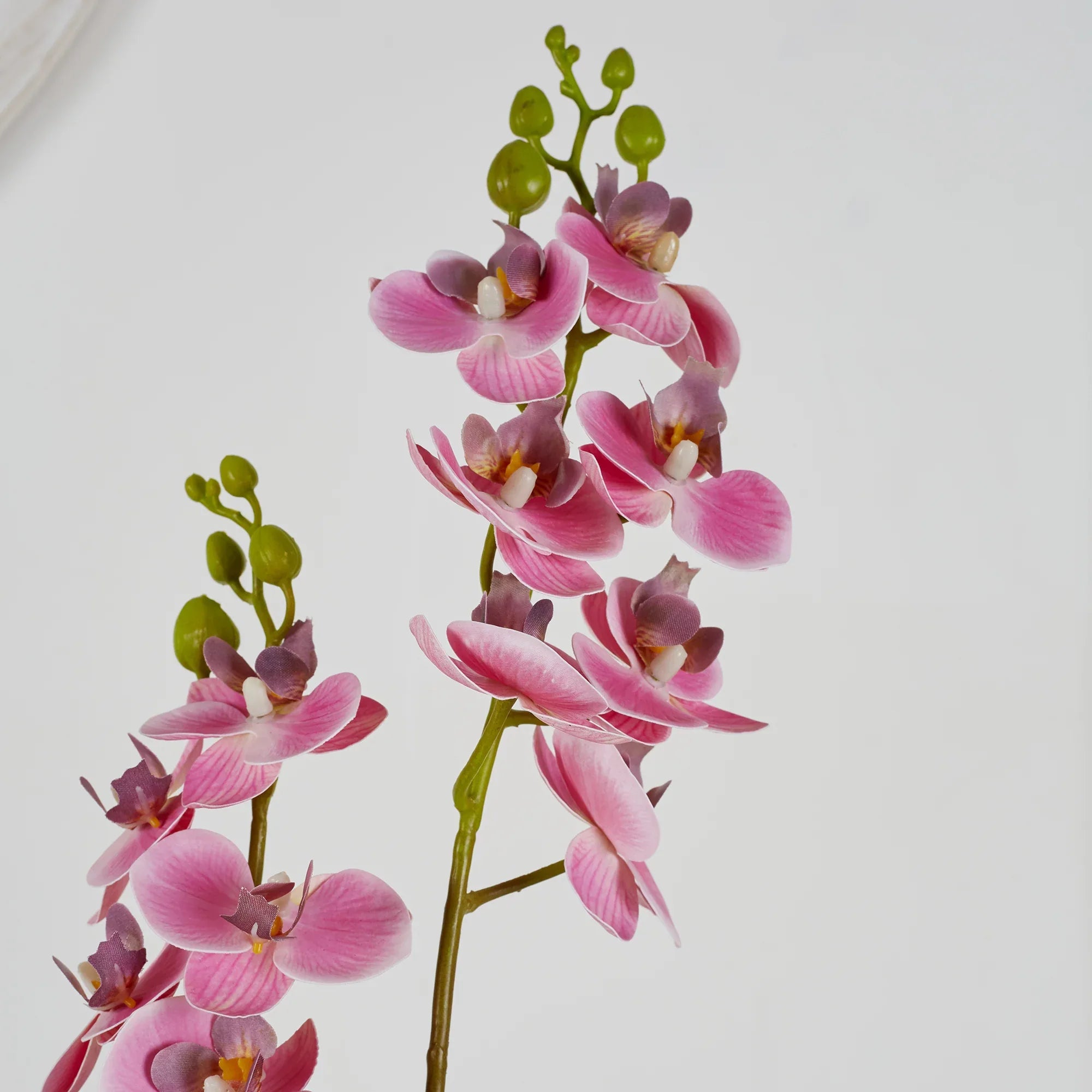Ilana Artificial Orchid Potted Plant 40Cm in Pink Colour - HomeTown