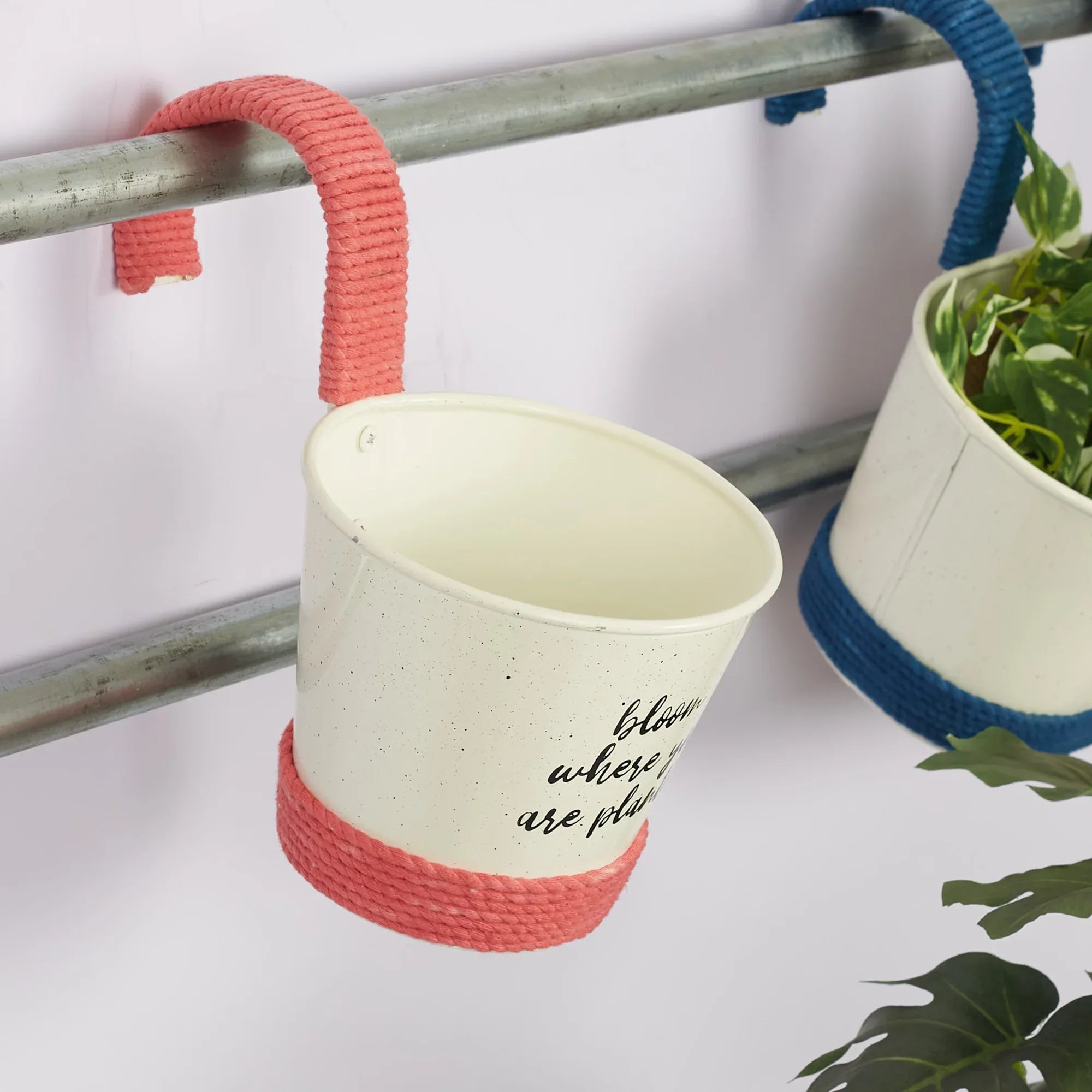 Pep Pop Metal Funky Quote Railing Planter 19Cm in Off White & Fuchsia Colour - HomeTown