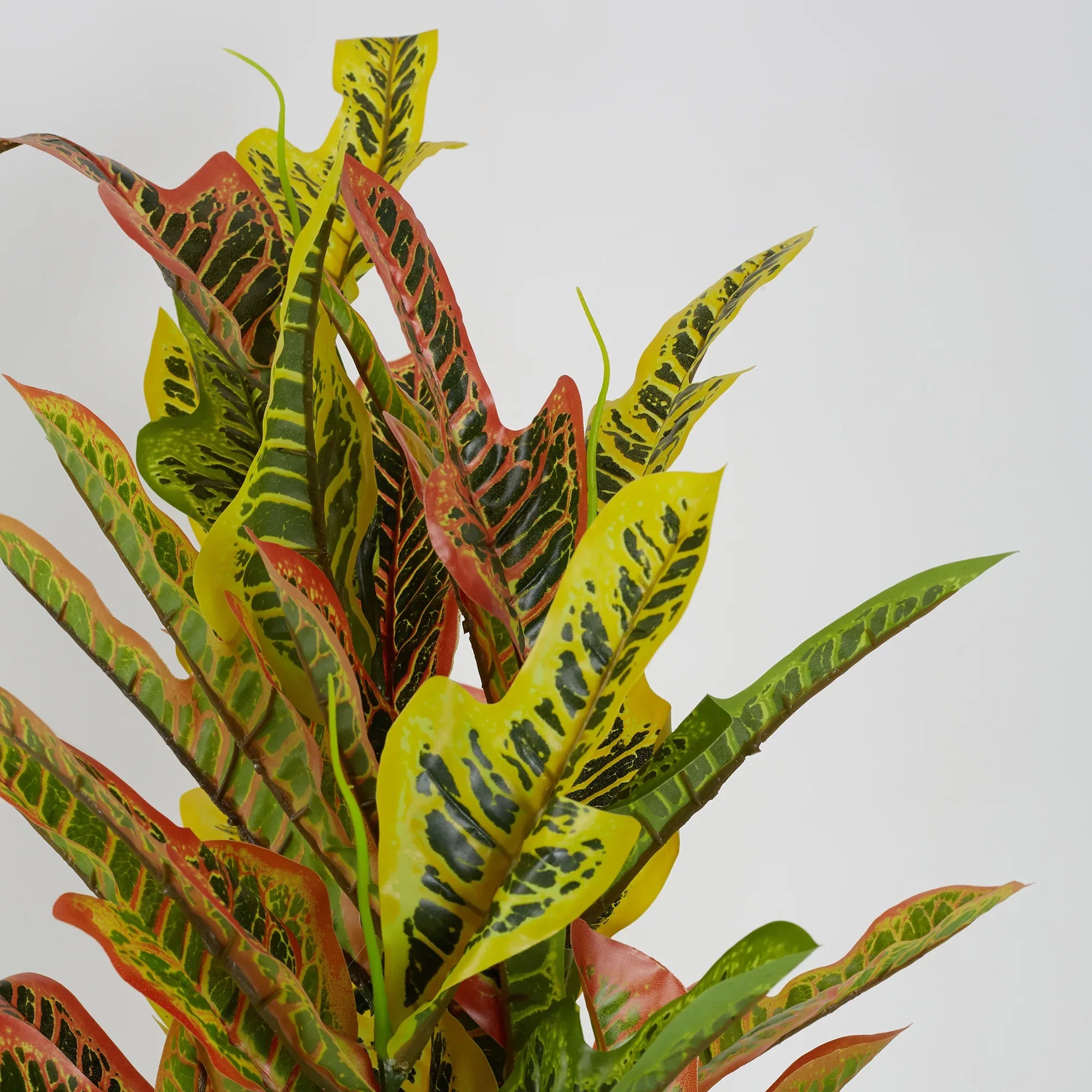 Ilana Artificial Codiaeum Potted Plant Yellow 90Cm in Yellow Colour - HomeTown