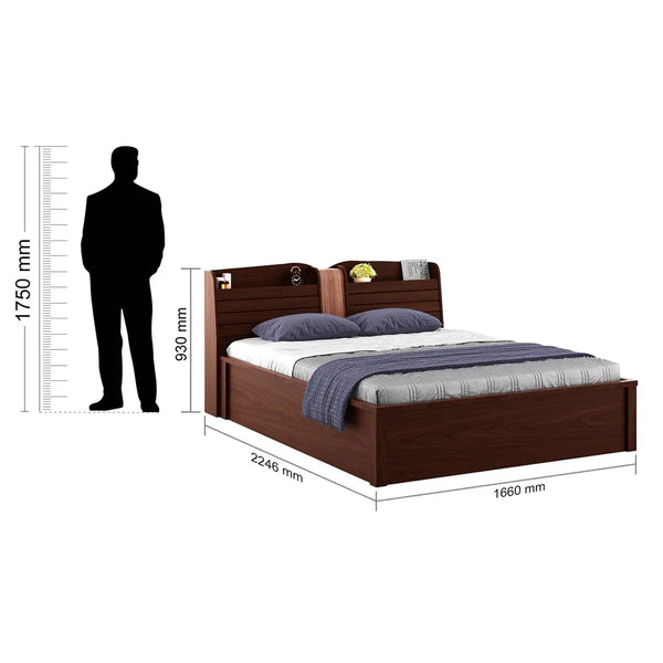 Magnum Engineered Wood Queen Bed with Box Storage in Urban Walnut Colour dimensions