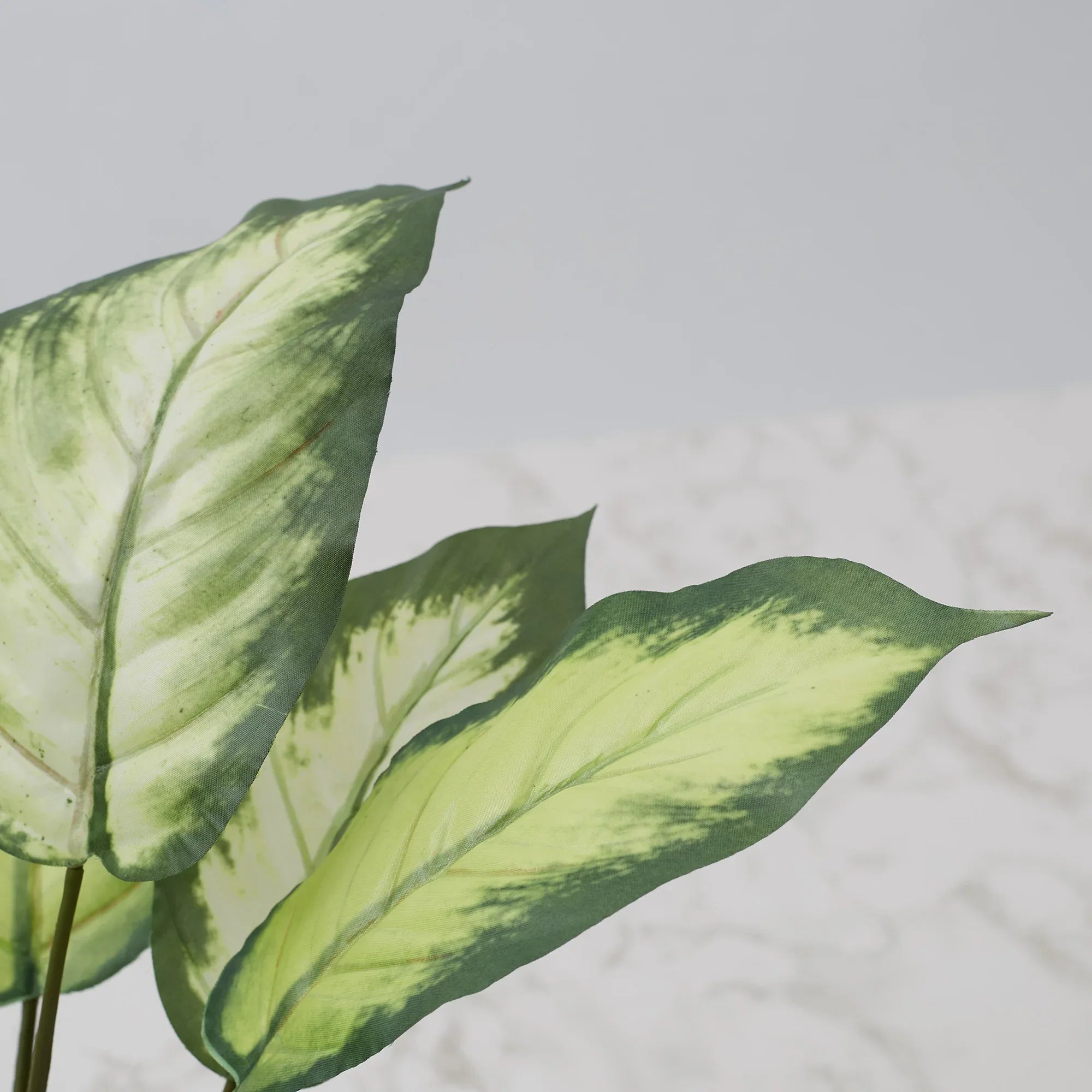 Ilana Faux Dieffenbachia Ceramic Potted Plant 42 Cm in Green Colour - HomeTown