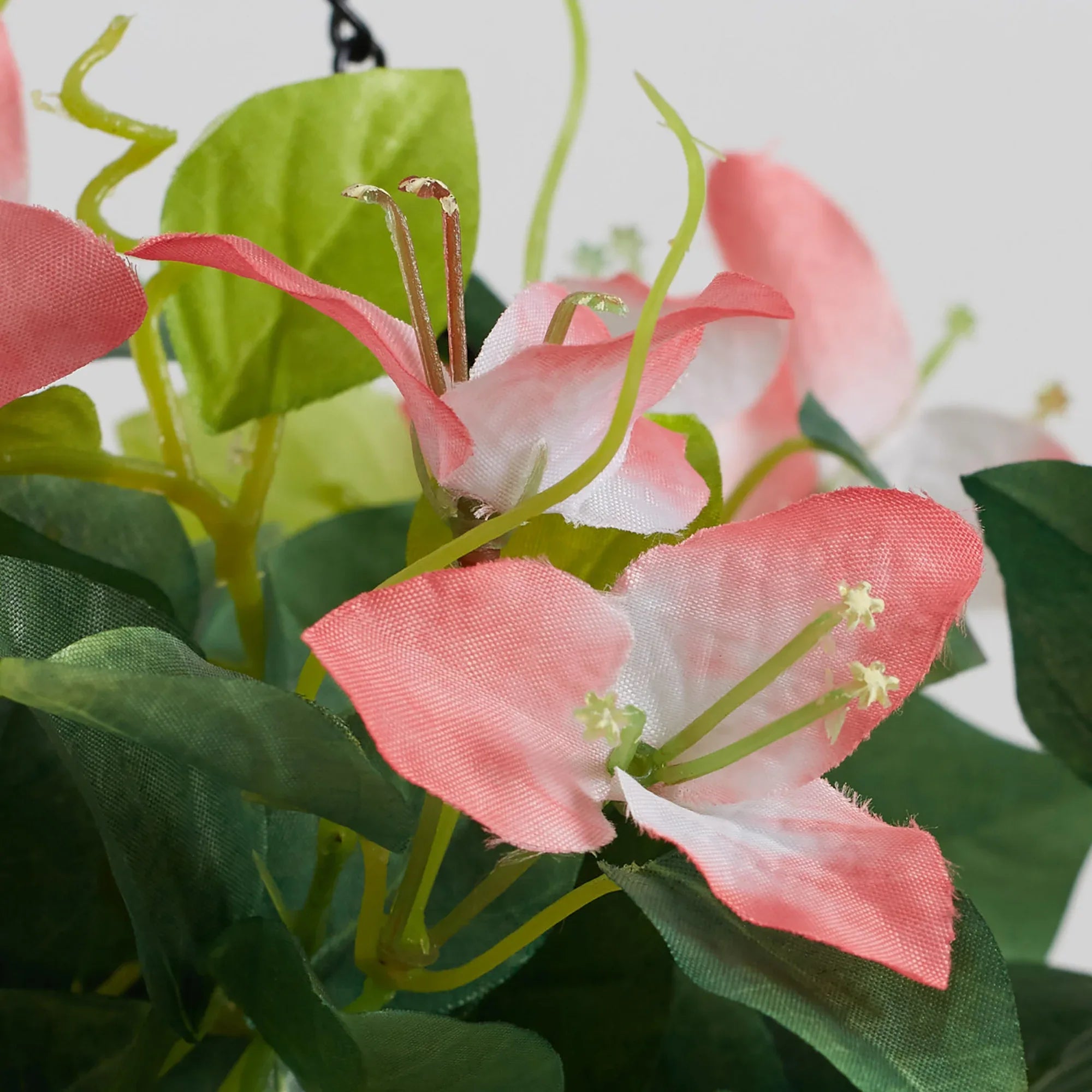Ilana Faux Hanging Bougainvillea With Pot 54 Cm in Pink Colour - HomeTown