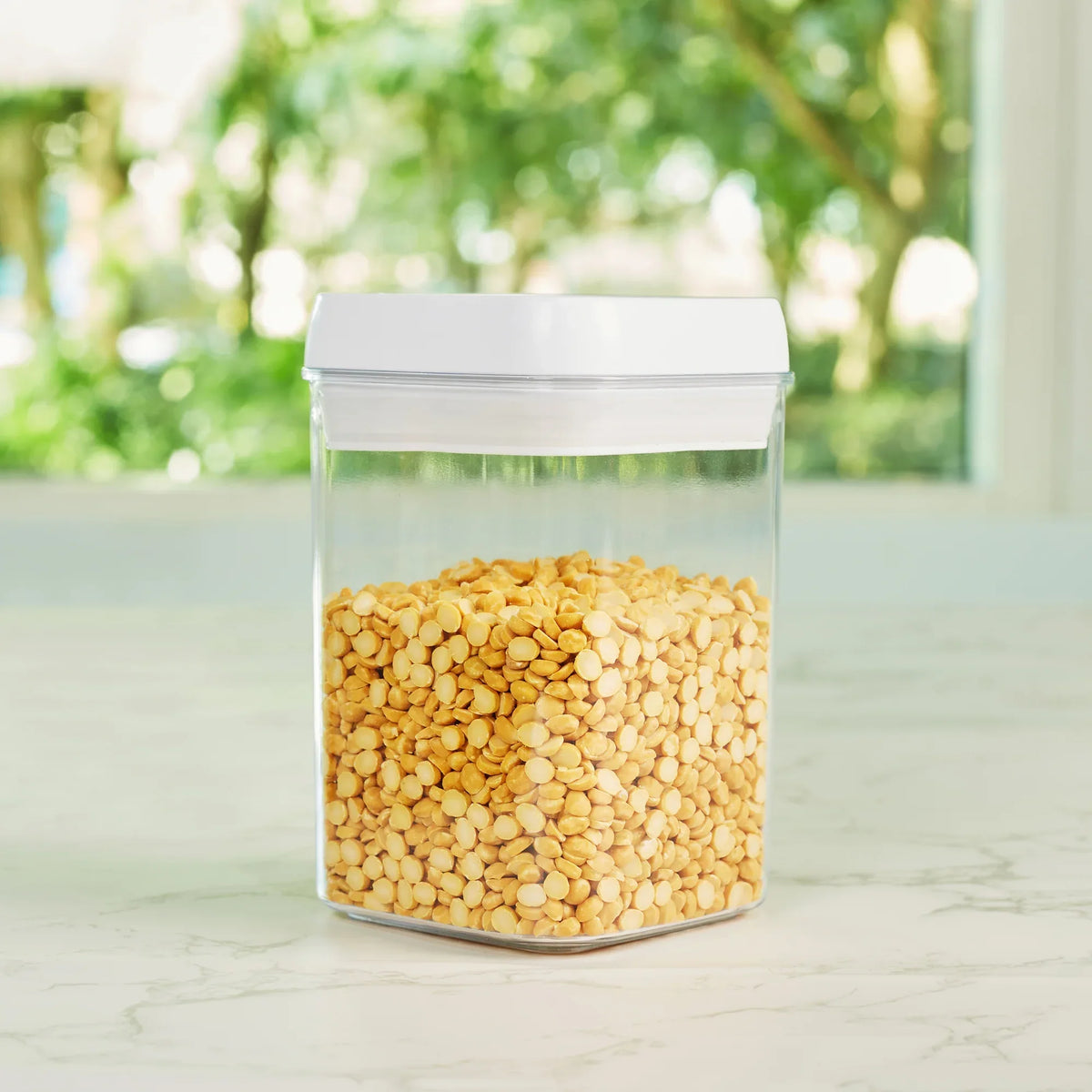 Robusto BPA Free Easy Lock Square Container 800ml in Transparent & White Colour - HomeTown