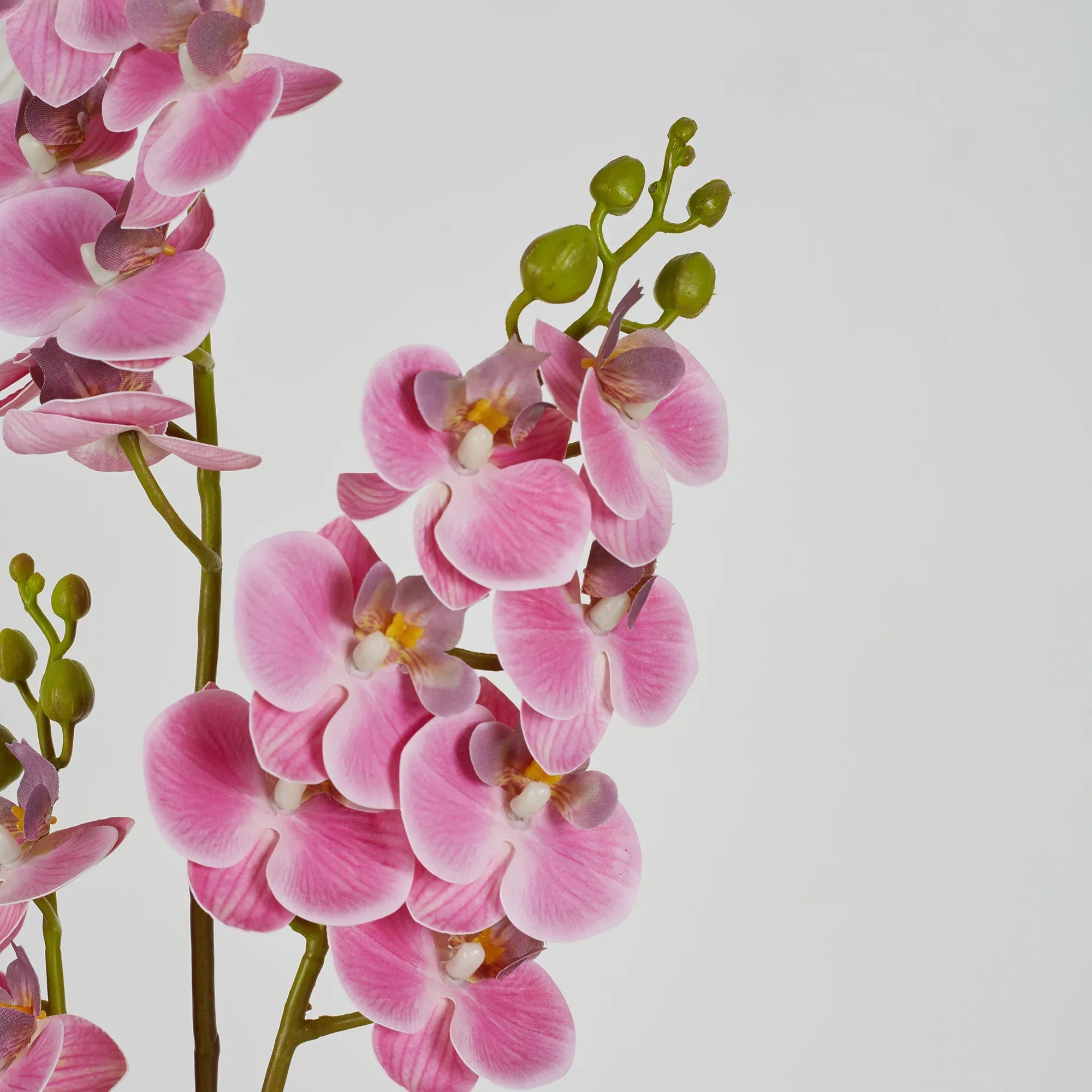 Ilana Artificial Orchid Potted Plant 45Cm in Pink Colour - HomeTown