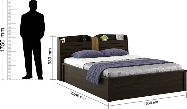 Magnum Engineered Wood Queen Bed with Hydraulic Storage in Urban Walnut Colour dimensions