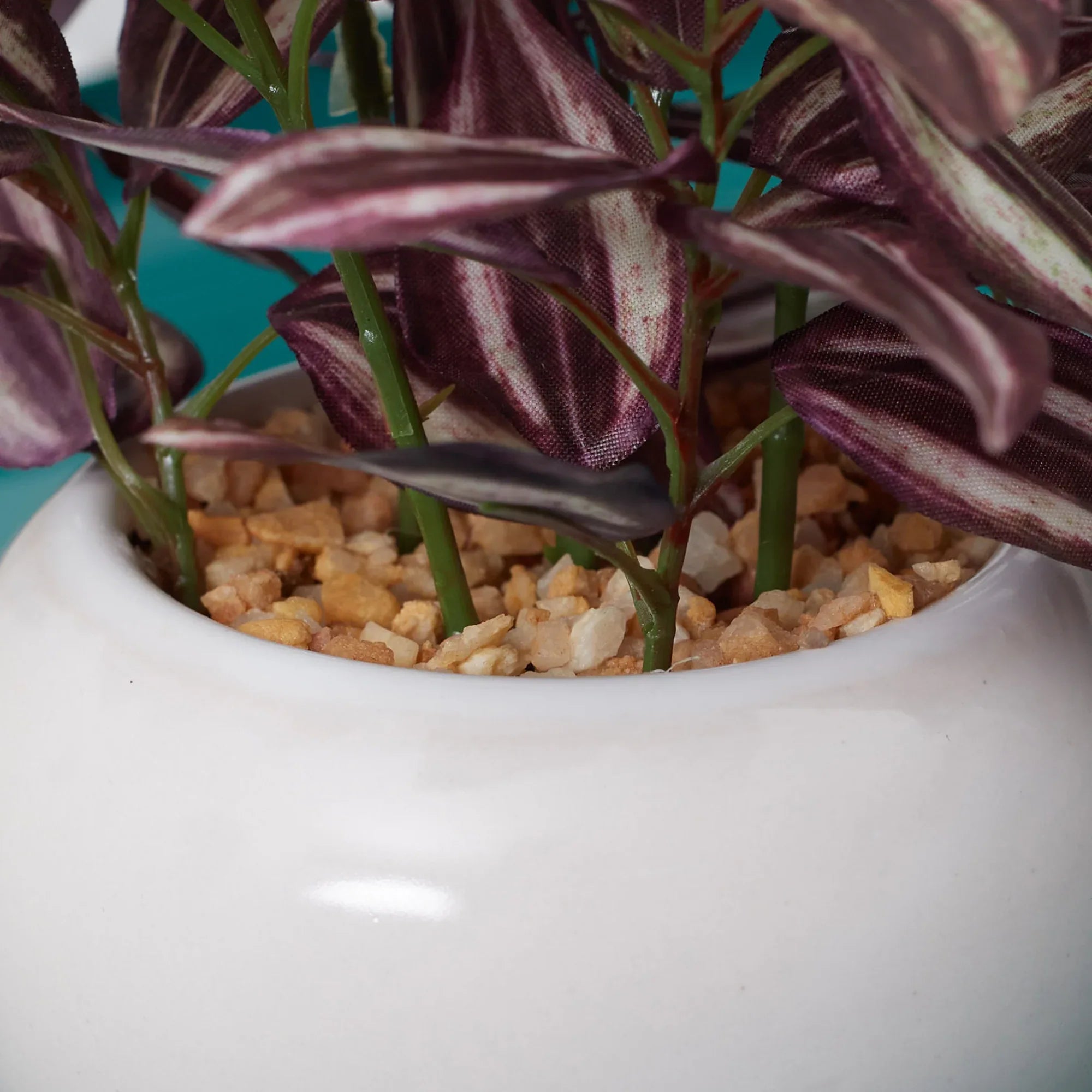 Ilana Faux Wandering Jew Ceramic Potted Plant 24 Cm in Green Colour - HomeTown