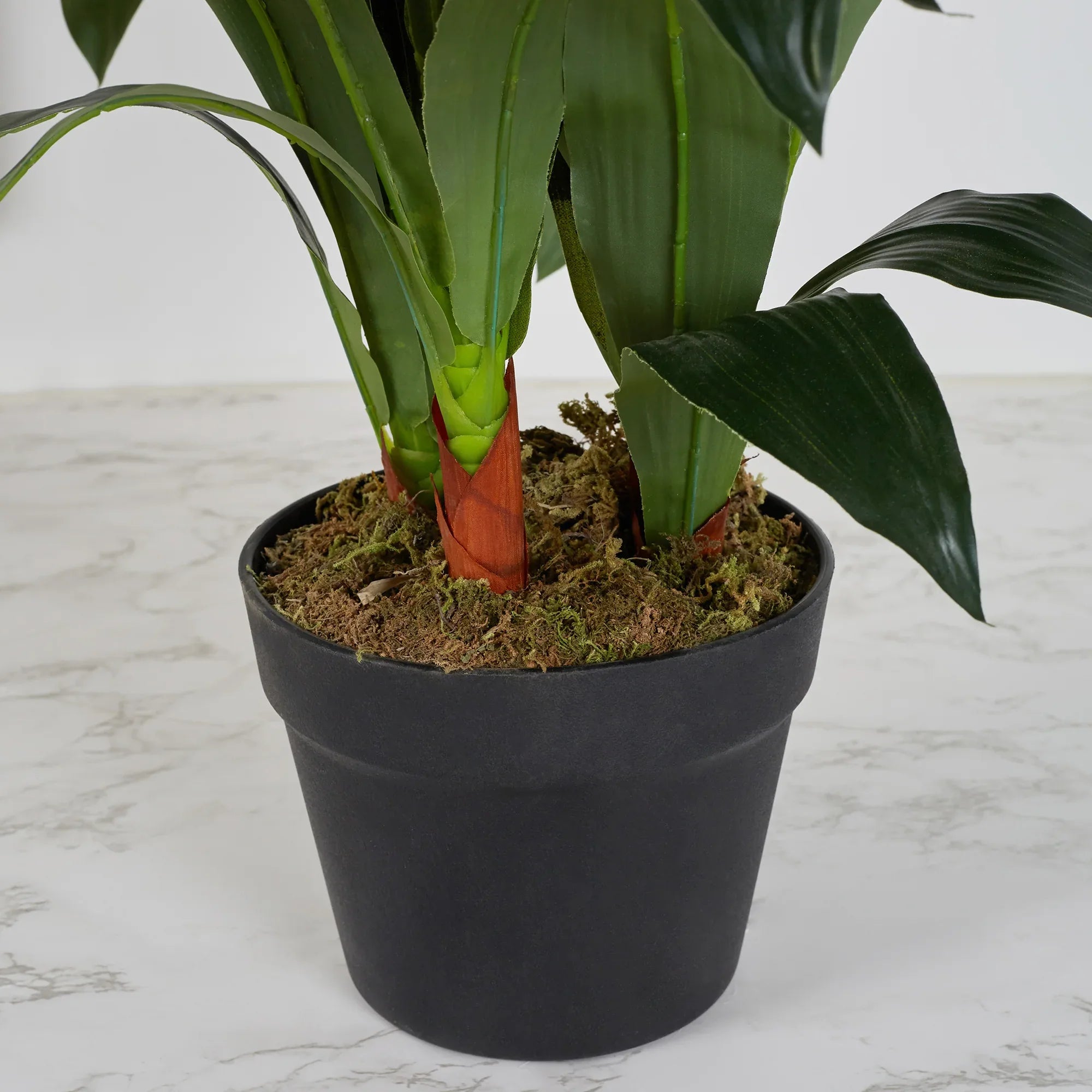 Ilana Artificial Cordate Potted Plant 90Cm in Pink Colour - HomeTown