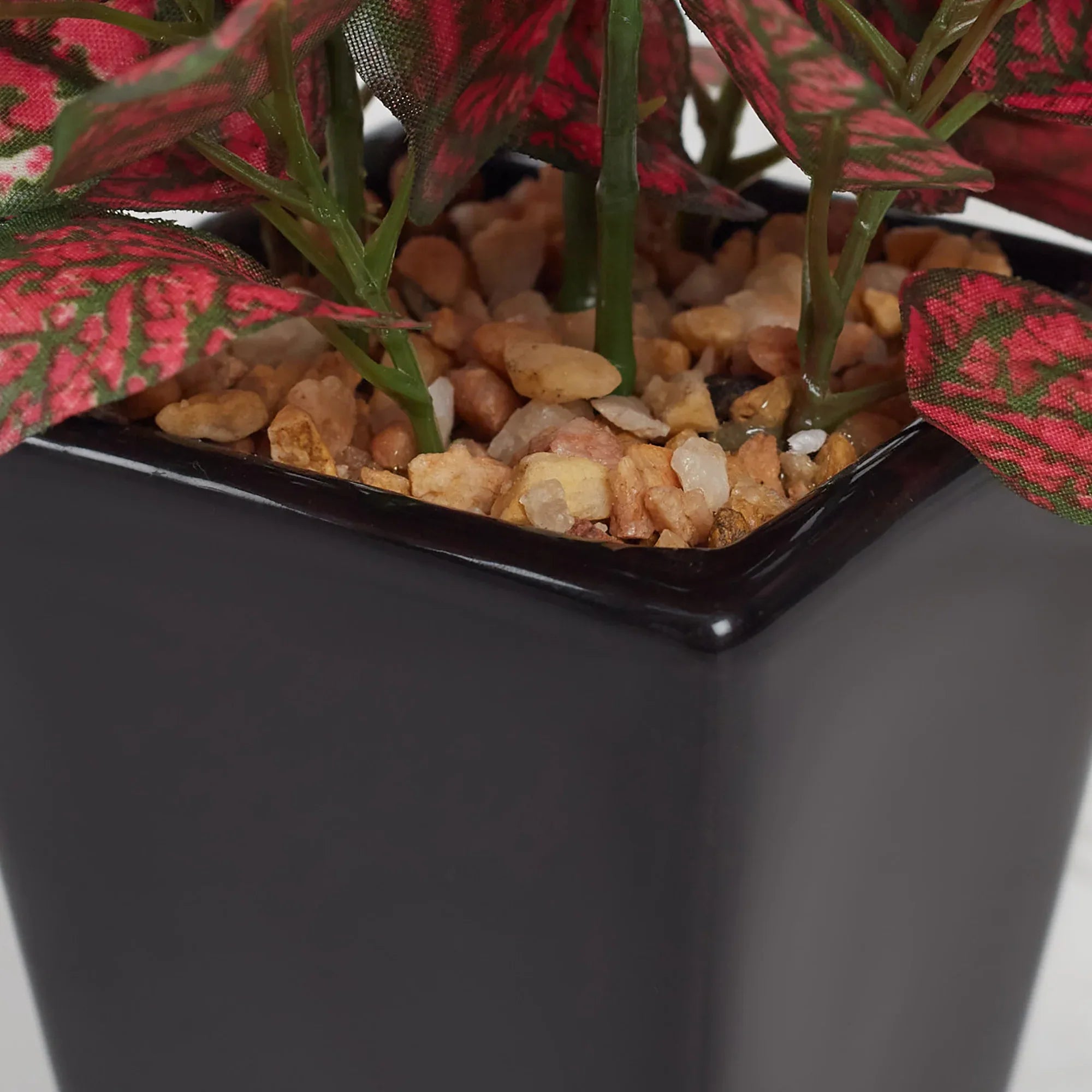 Ilana Faux Hypoestes Ceramic Potted Plant 19 Cm in Red Colour - HomeTown