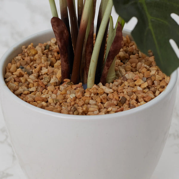 Ilana  Faux Philodendron Ceramic Potted Plant 42 Cm in Green Colour dimensions