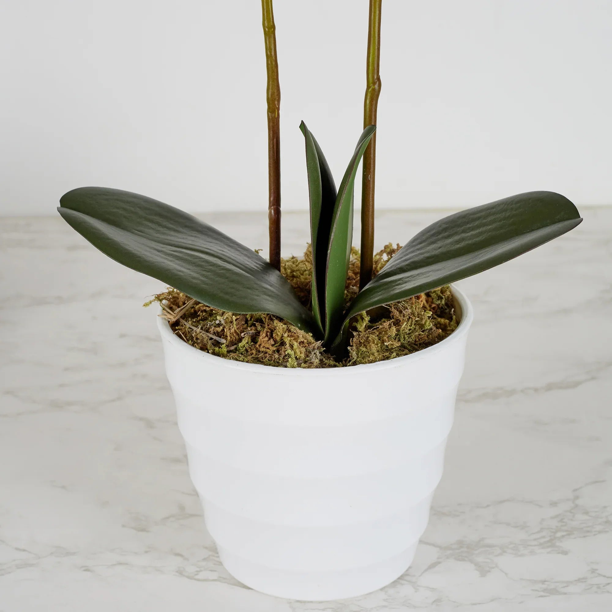 Ilana Artificial Orchid Potted Plant 40Cm in Pink Colour - HomeTown