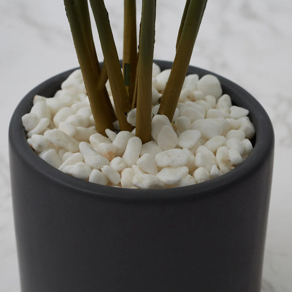 Ilana  Faux Dieffenbachia Ceramic Potted Plant 42 Cm in Green Colour dimensions