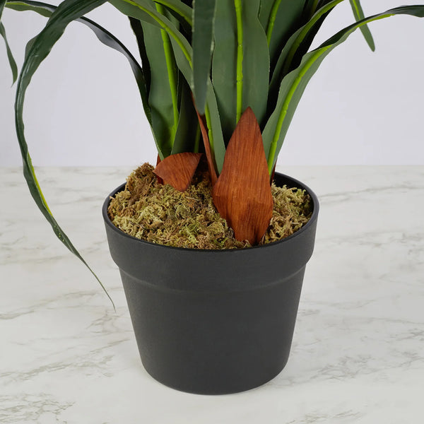 Ilana  Artificial Orchid Potted Plant 90Cm in White Colour dimensions