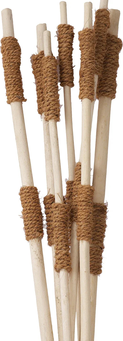 Wicker Dry Jutestick With Rope Bunch in White Colour dimensions