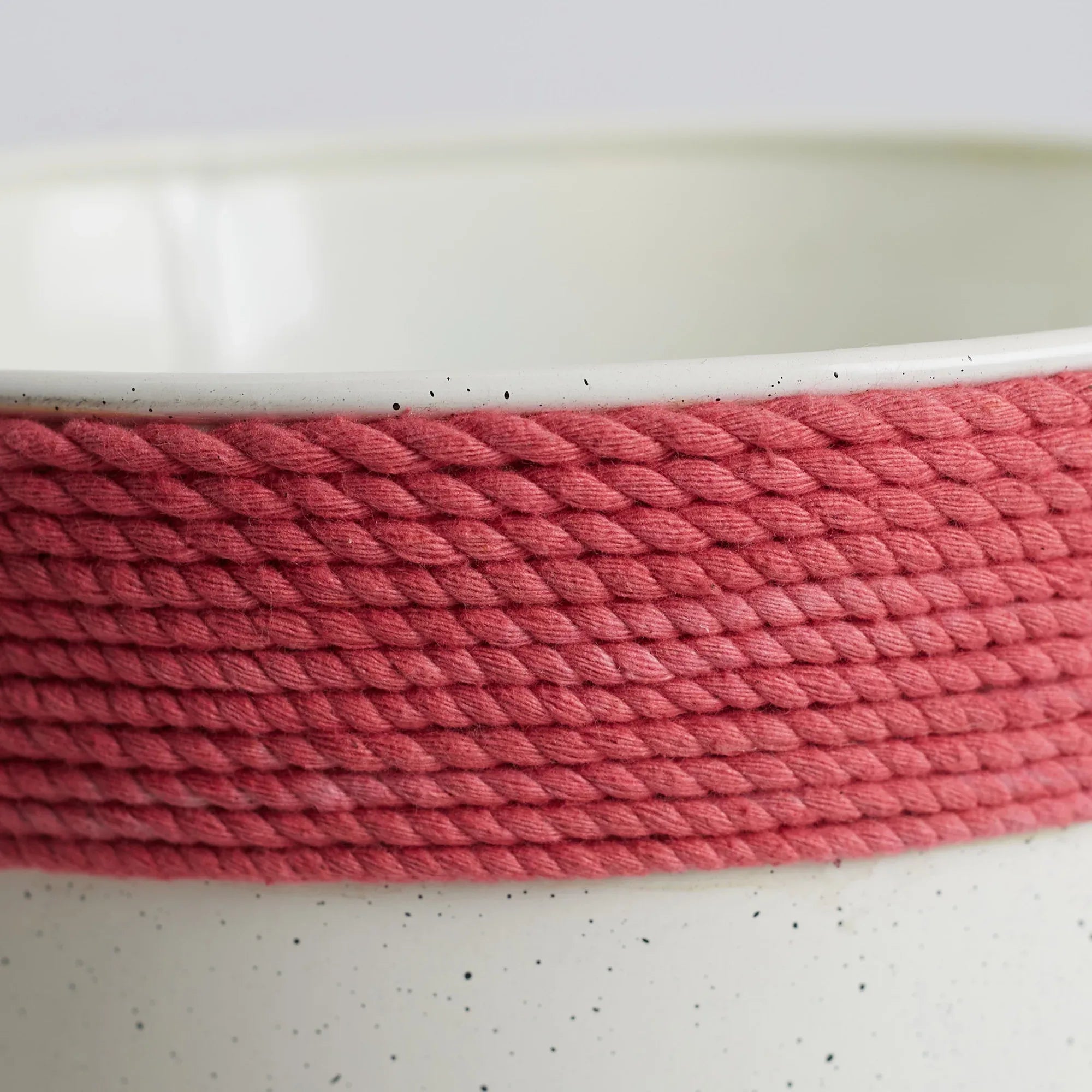 Pep Pop Metal Funky Quote Planter 19Cm in Off White & Fuchsia Colour - HomeTown