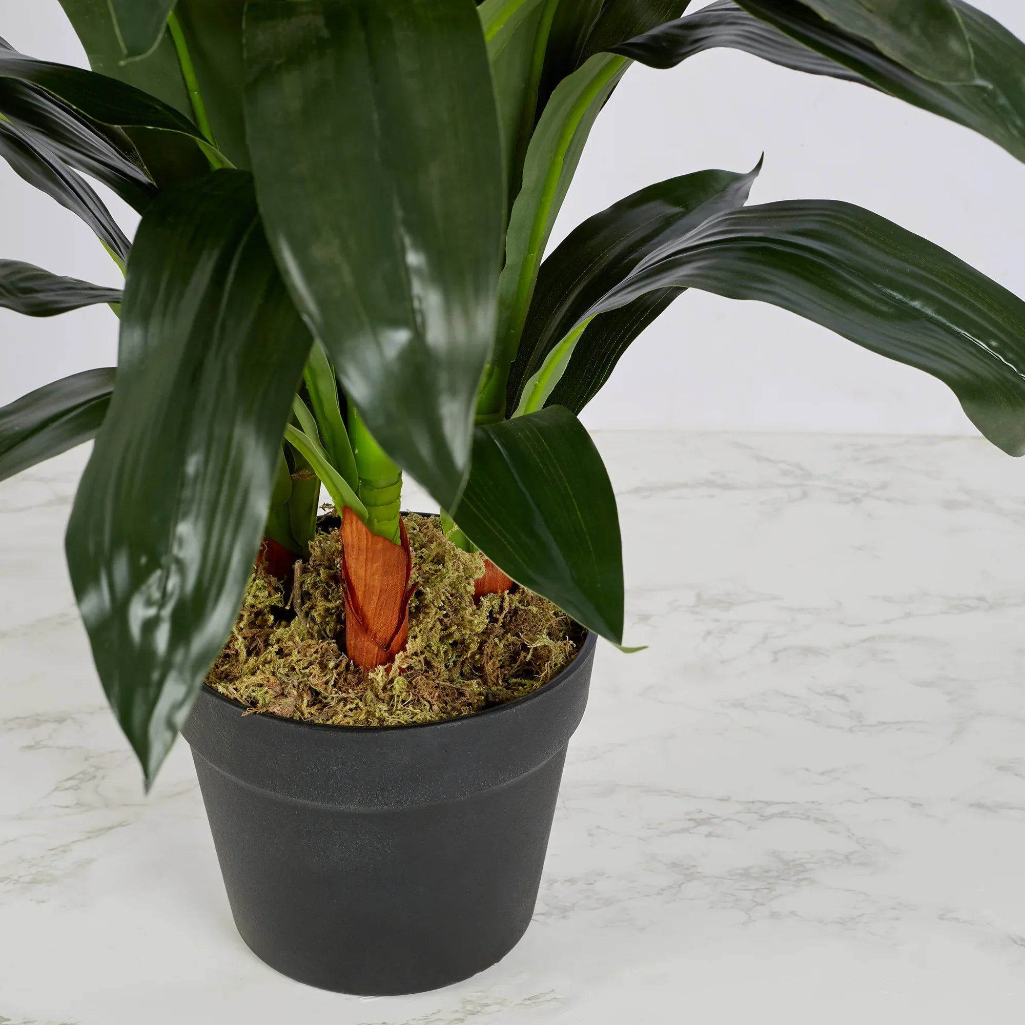 Ilana Artificial Cordate Potted Plant 90Cm in White Colour - HomeTown