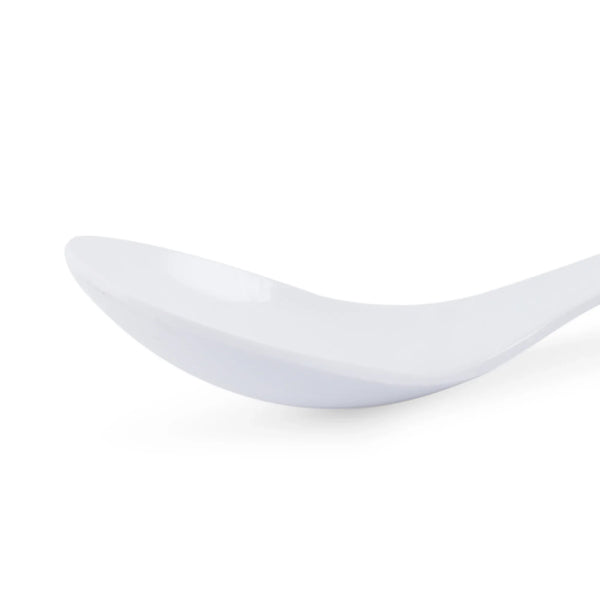 Emilia Melamine Speckles Serving Spoon in Dusky Blue Colour dimensions