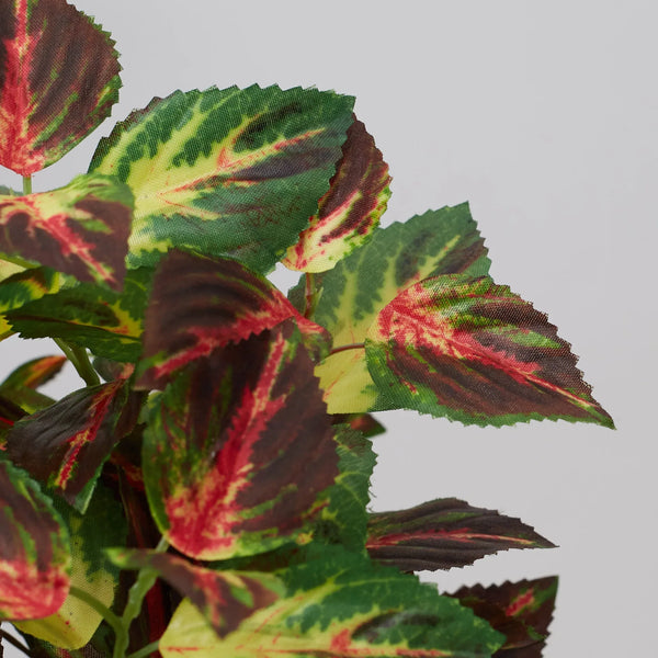 Ilana  Faux Coleus Ceramic Potted Plant 24 Cm in Green Colour dimensions