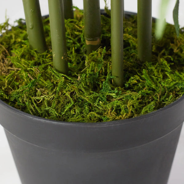 Ilana  Faux Bamboo Potted Plant 103 Cm in Green Colour dimensions