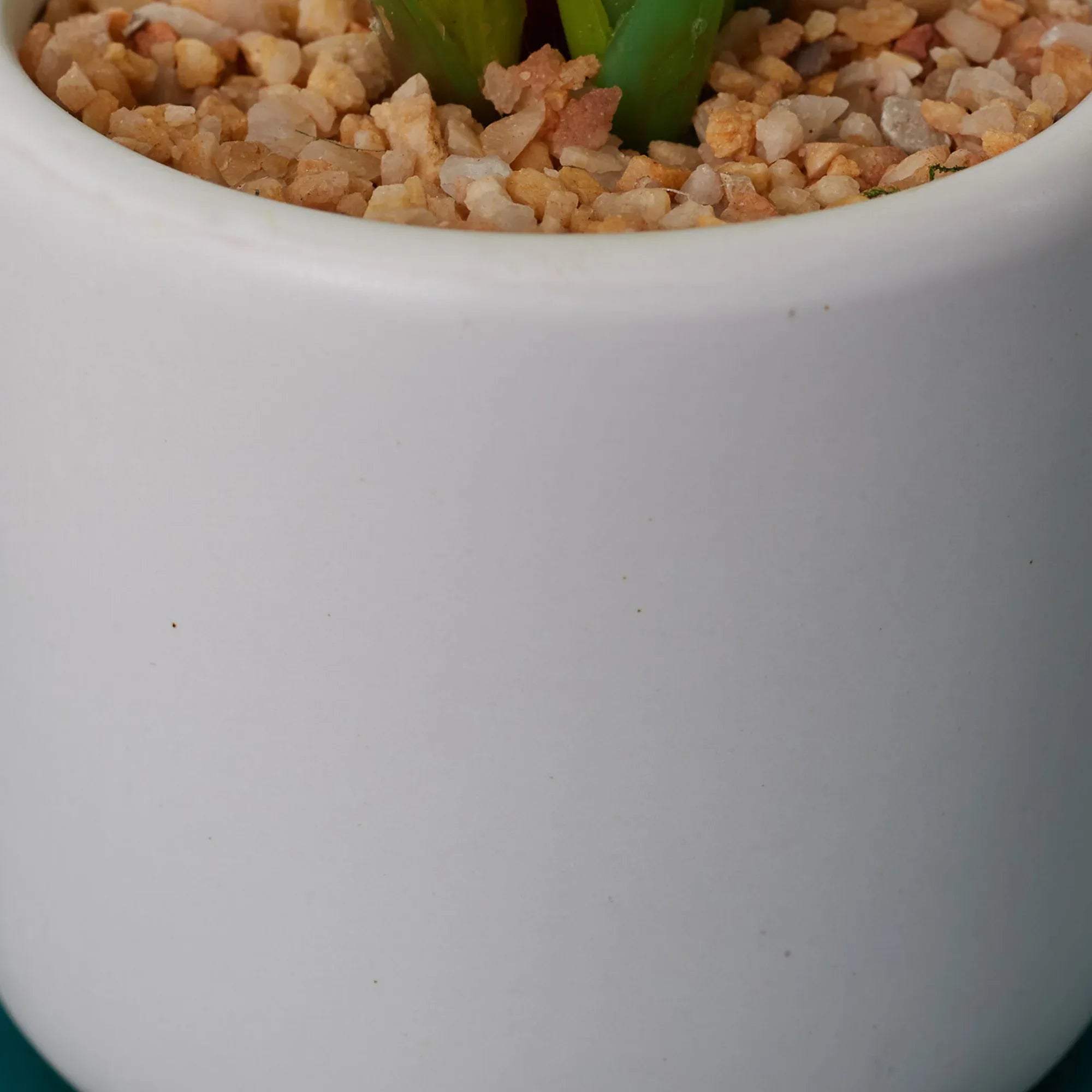 Ilana Faux Dieffnbchia 2 Ceramic Potted Plant 25 Cm in Green Colour - HomeTown