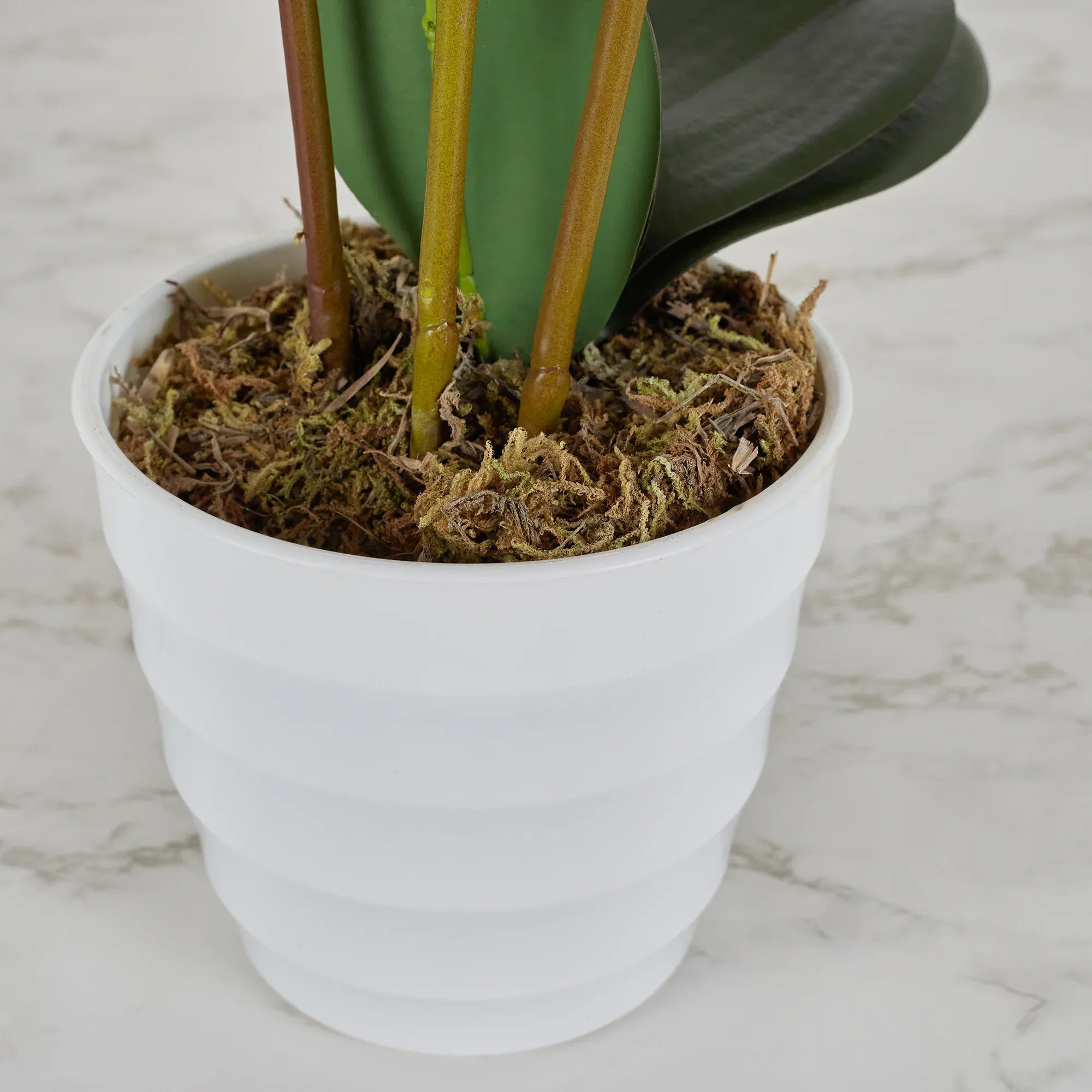Ilana Artificial Orchid Potted Plant 55Cm in Pink Colour - HomeTown
