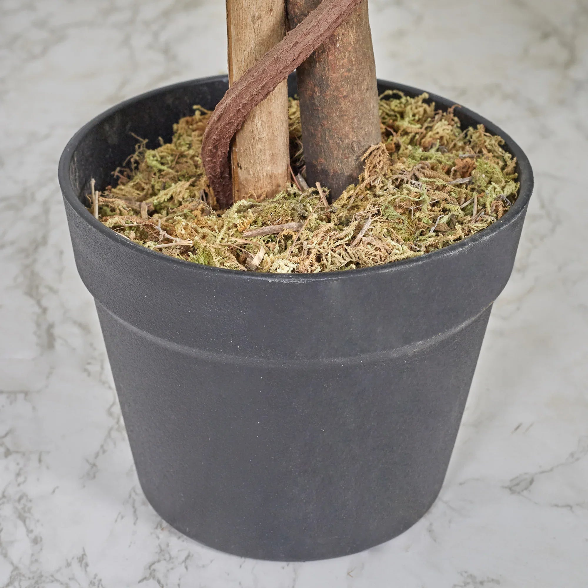 Ilana Artificial Wisteria Potted Tree 120Cm in White Colour - HomeTown