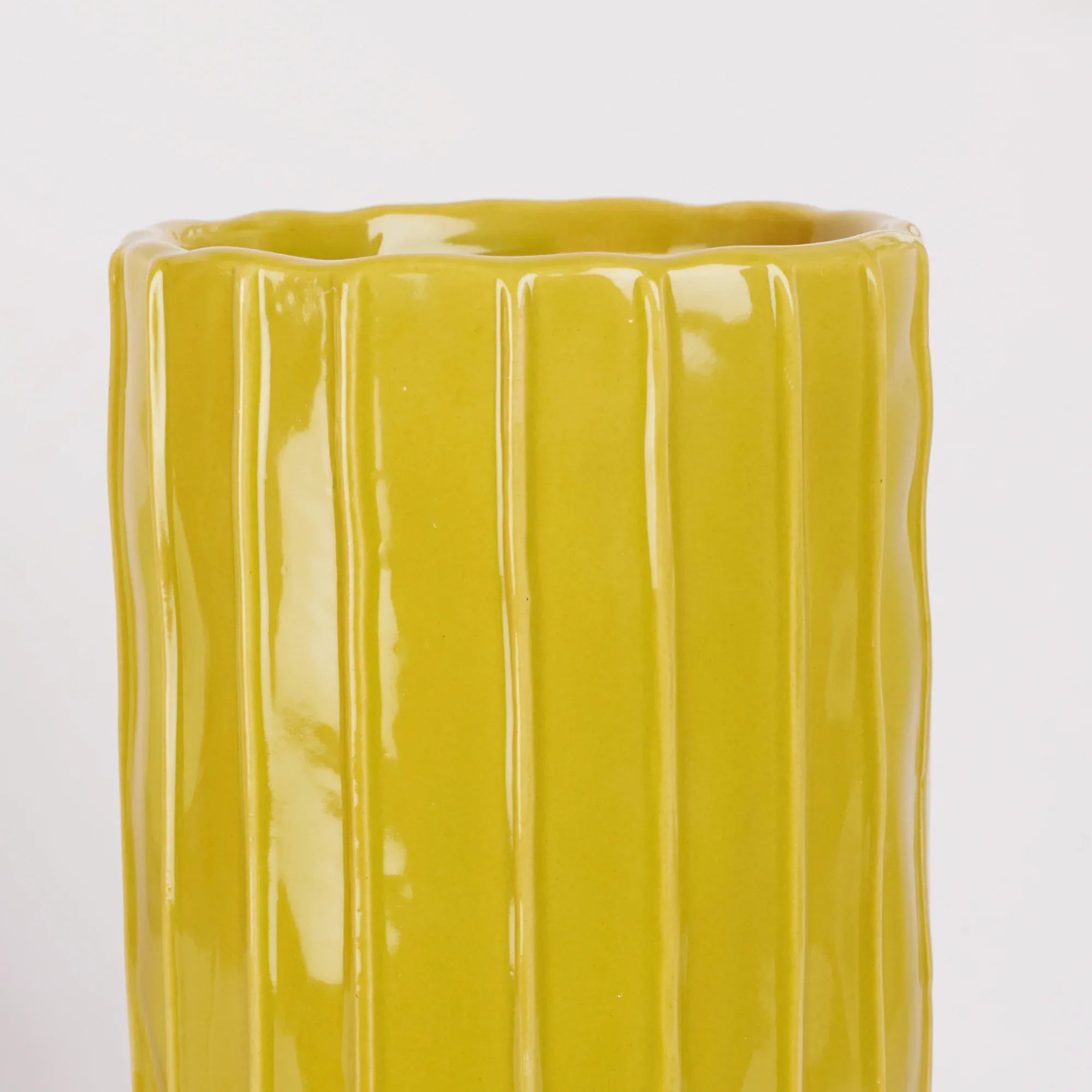 Alura Tropical Glossy Ceramic Planter 26Cm in Green Colour - HomeTown