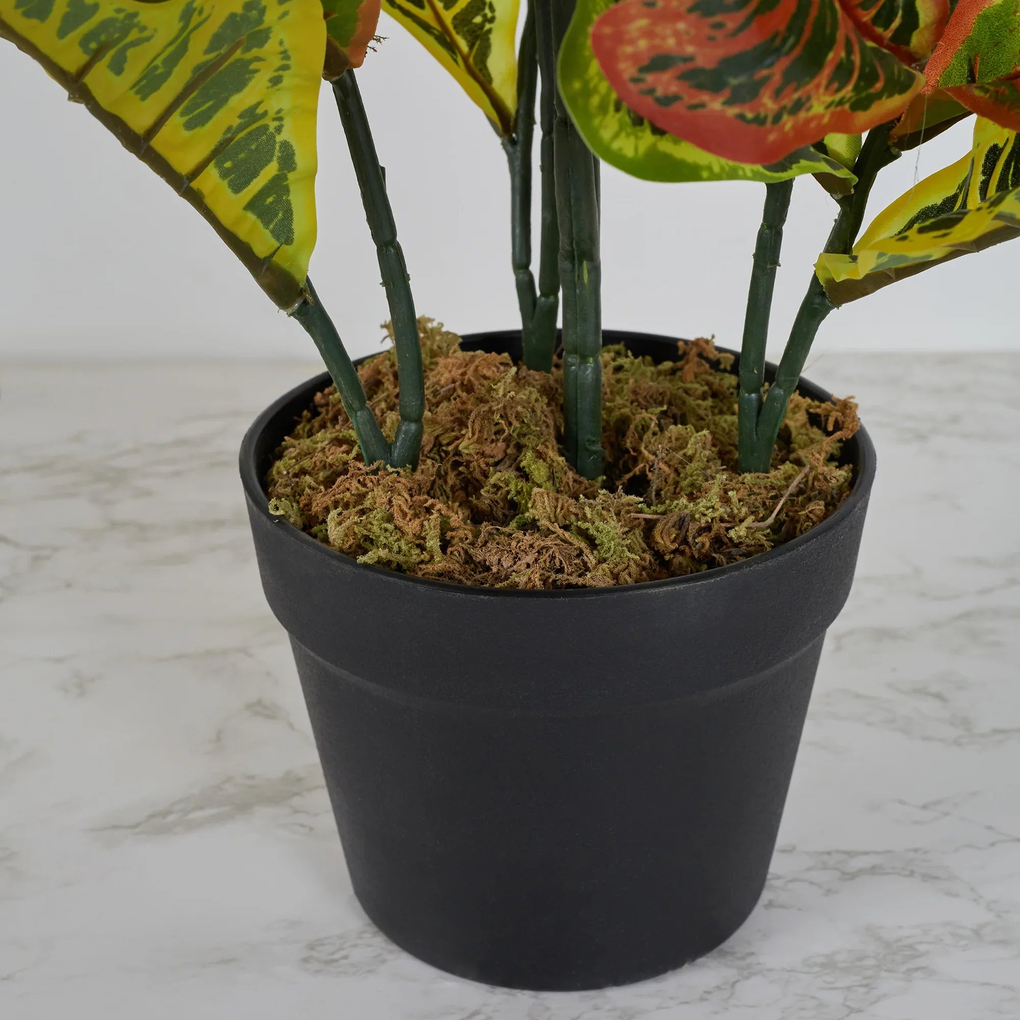 Ilana Artificial Codiaeum Potted Plant Yellow 90Cm in Yellow Colour - HomeTown