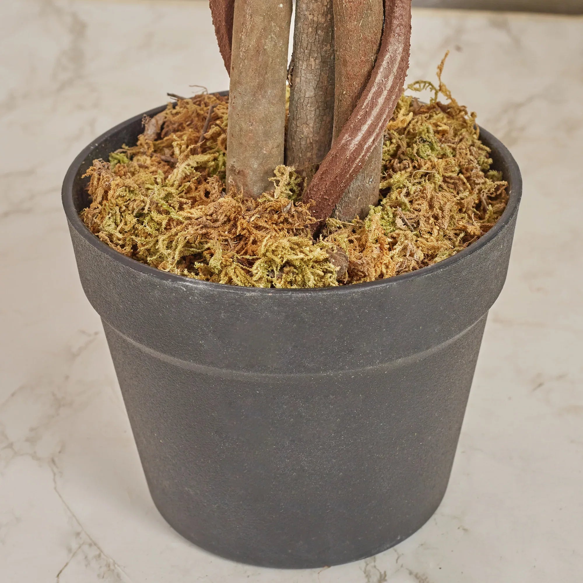 Ilana Artificial Cheery Blossom Potted Tree 120Cm in Pink Colour - HomeTown