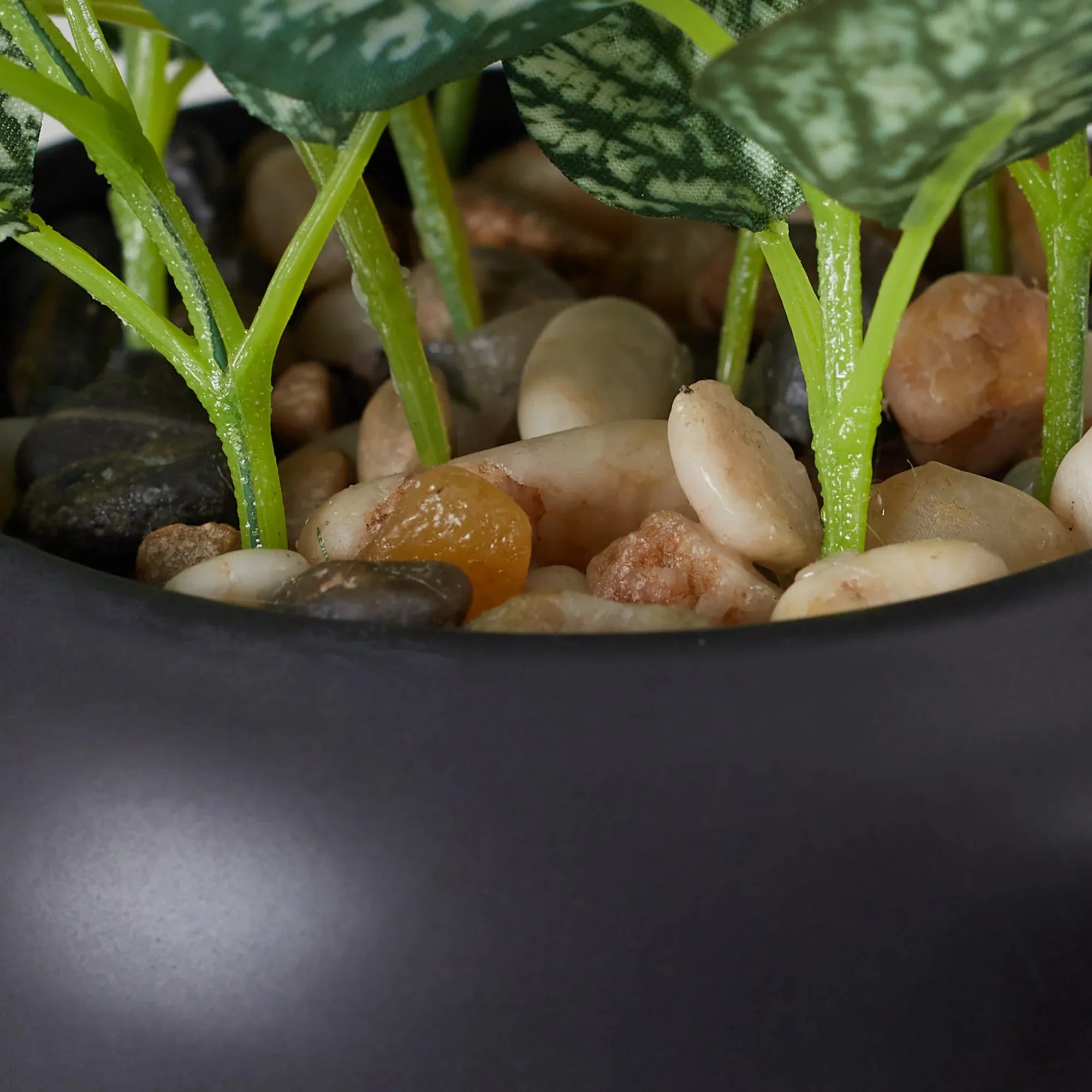 Ilana  Faux Hypoestes Ceramic Potted Plant 27 Cm in Green Colour