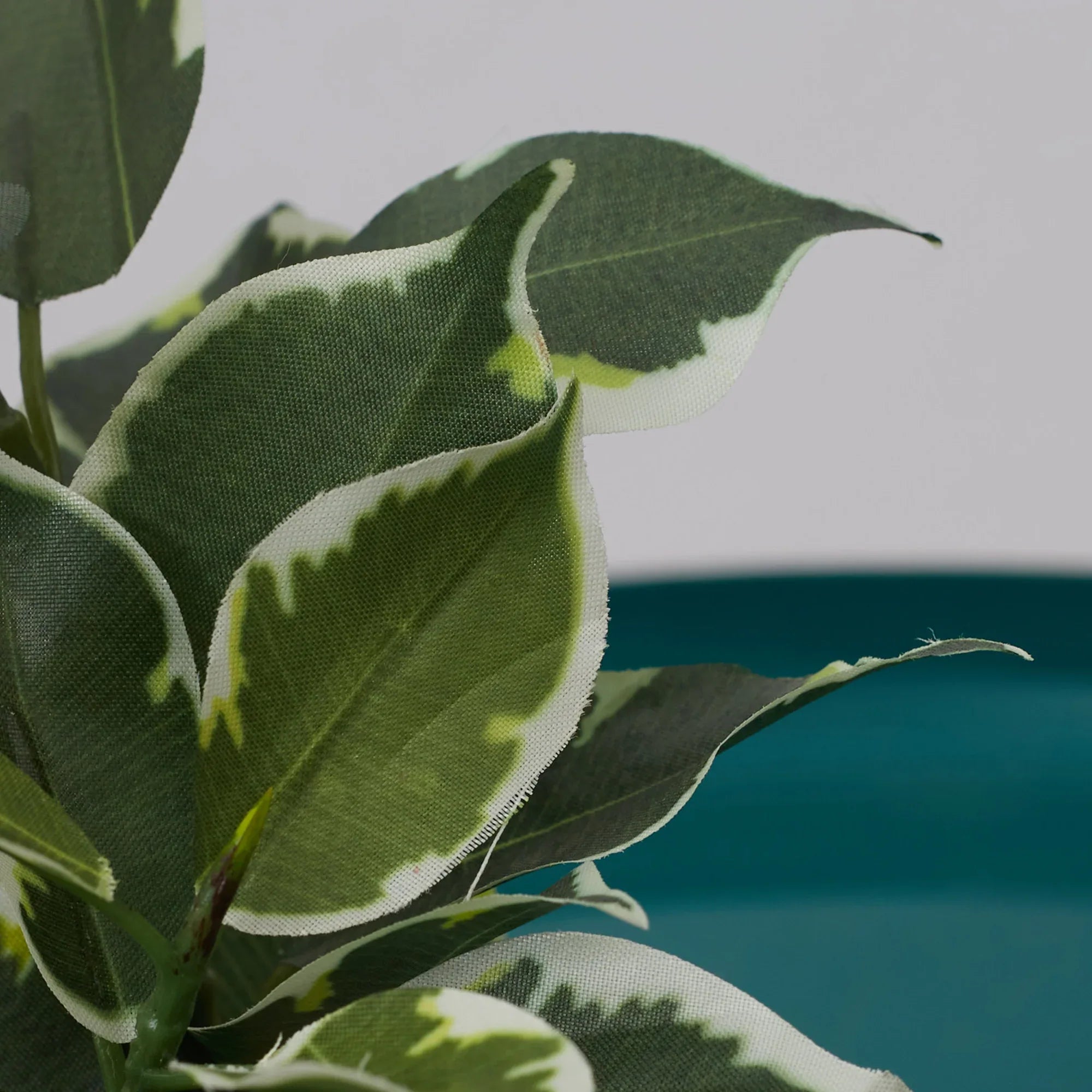 Ilana Faux Quercus Ceramic Potted Plant 23 Cm in Green Colour - HomeTown