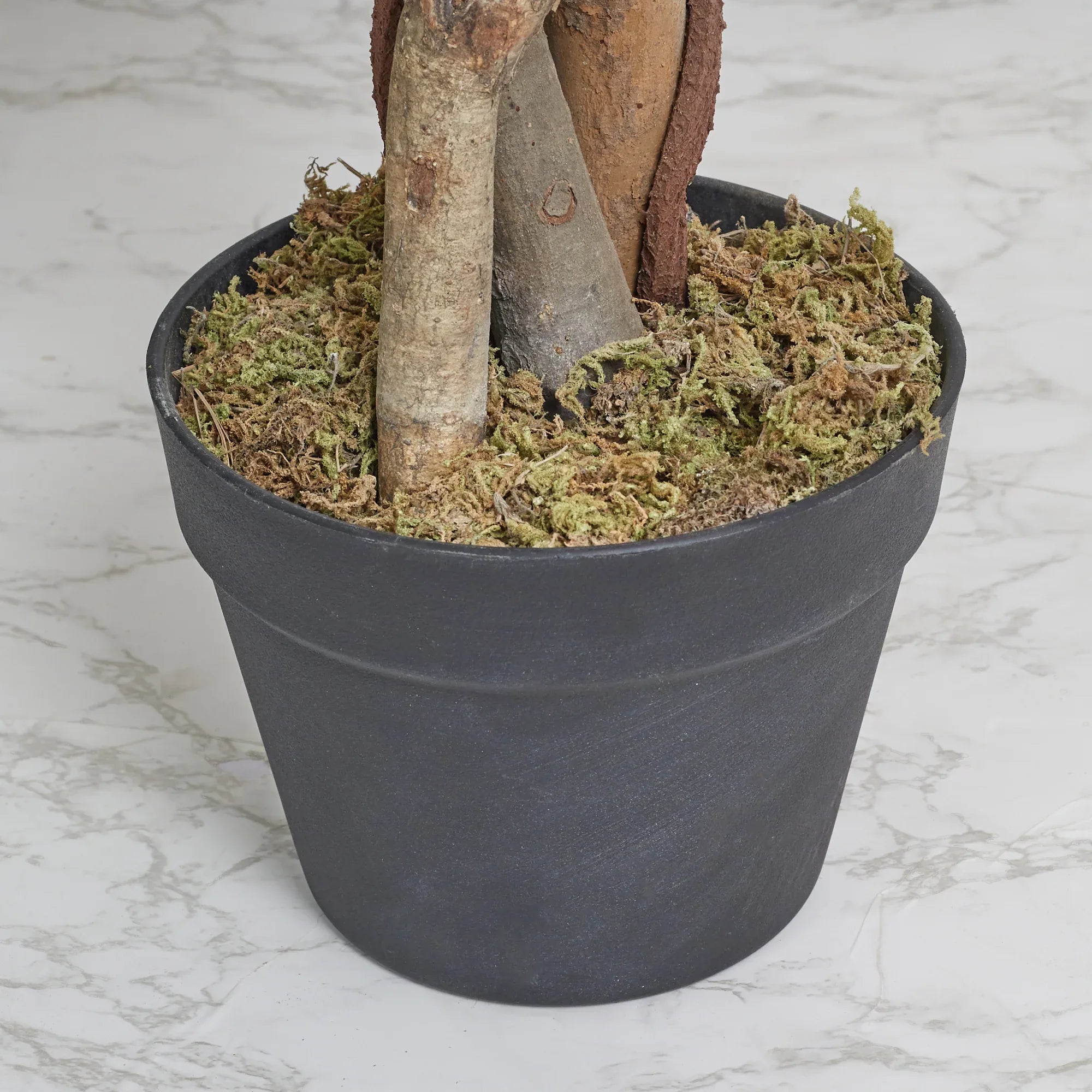 Ilana Artificial Peach Blossom Potted Tree 160Cm in White Colour - HomeTown