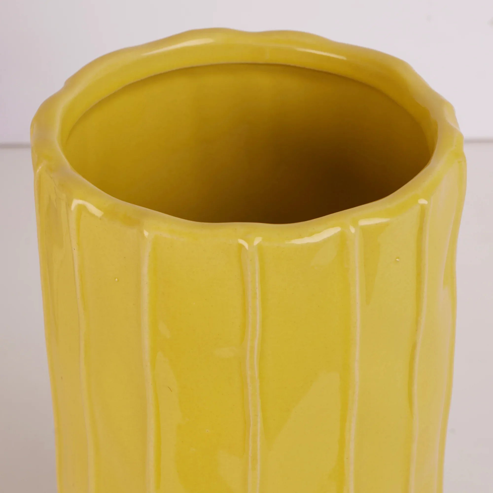 Alura Tropical Glossy Ceramic Planter 22Cm in Apple Green Colour - HomeTown