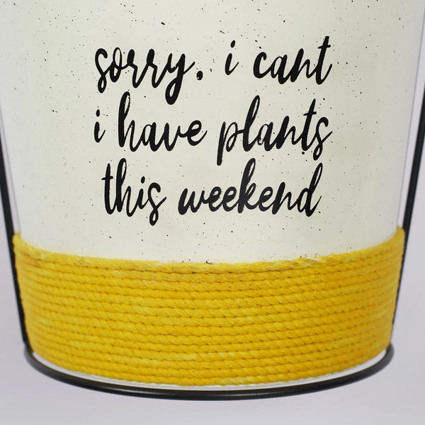 Pep Pop Metal Quote Railing Planter 26Cm in Off White & Yellow Colour dimensions