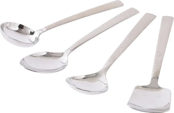 FNS Elite Stainless steel Serving Spoon Set of 4 in Silver Colour dimensions