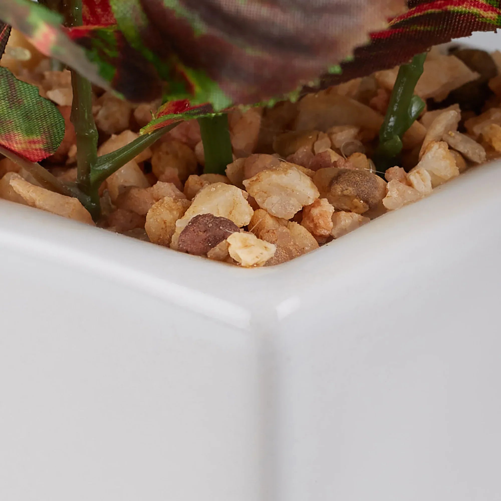 Ilana Faux Coleus Ceramic Potted Plant 19 Cm in Green Colour - HomeTown