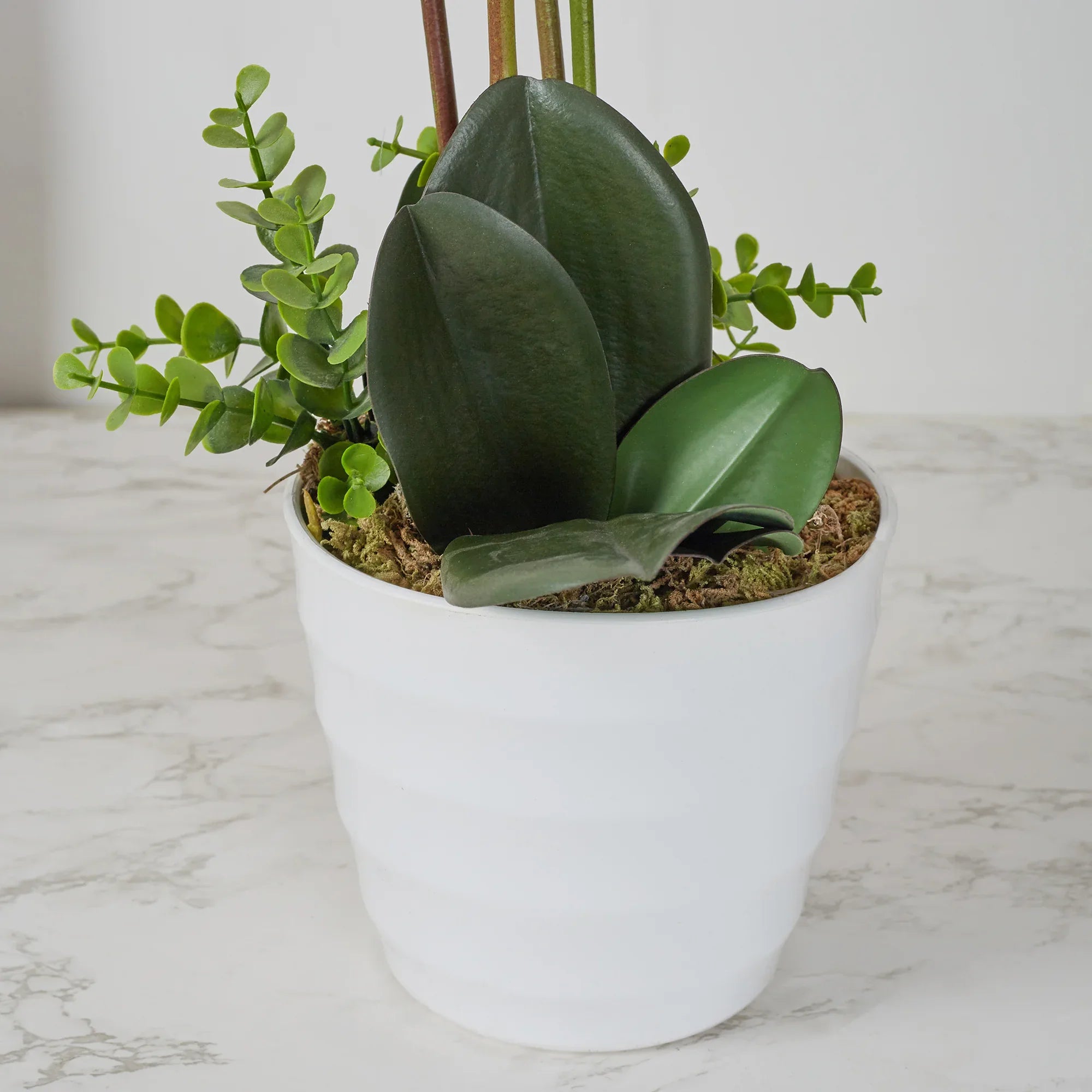 Ilana Artificial Orchid Potted Plant 75Cm in Pink Colour - HomeTown