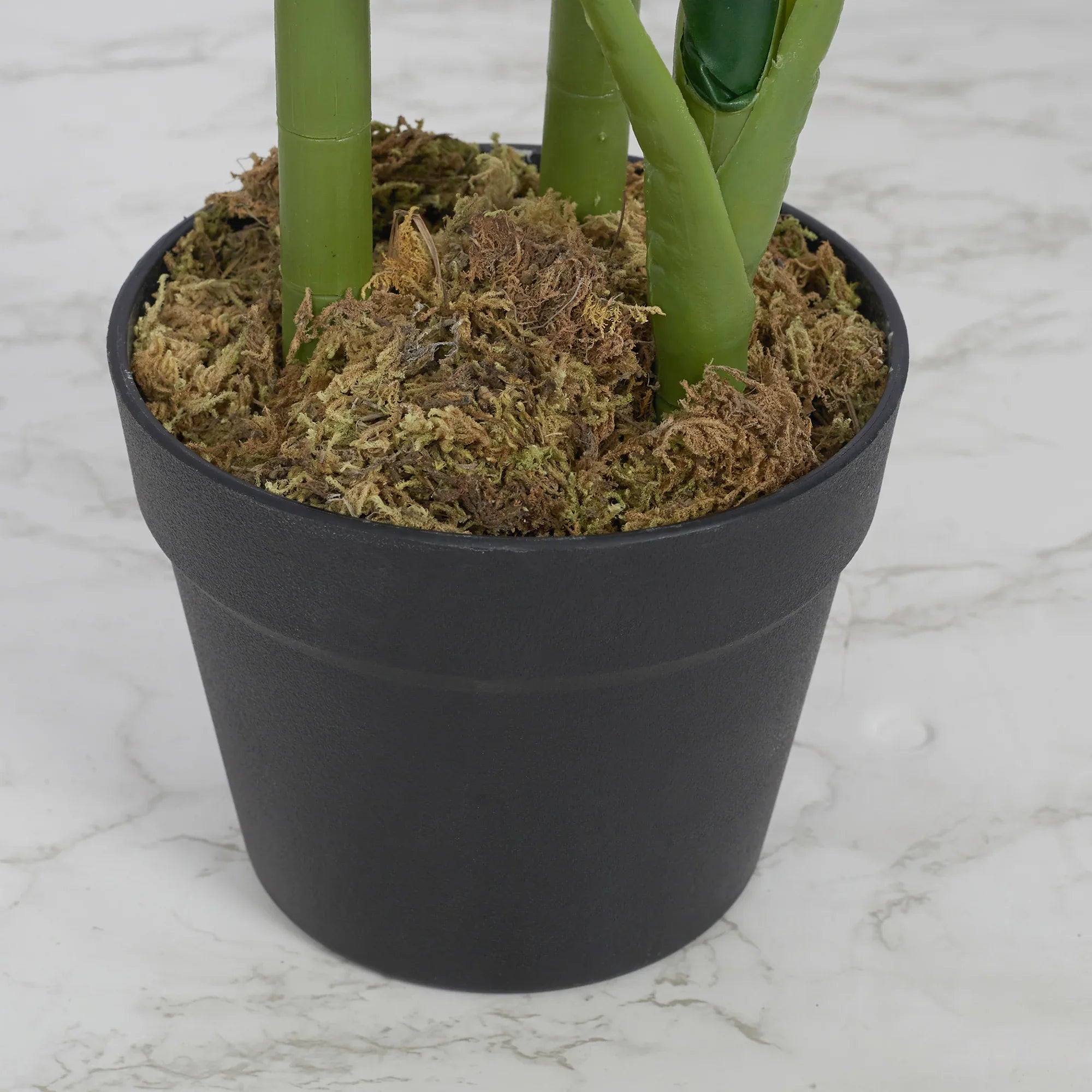 Ilana Artificial Monstera Potted Plant 120Cm in Green Colour - HomeTown