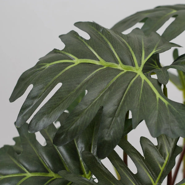 Ilana  Faux Philodendron Ceramic Potted Plant 56 Cm in Green Colour dimensions