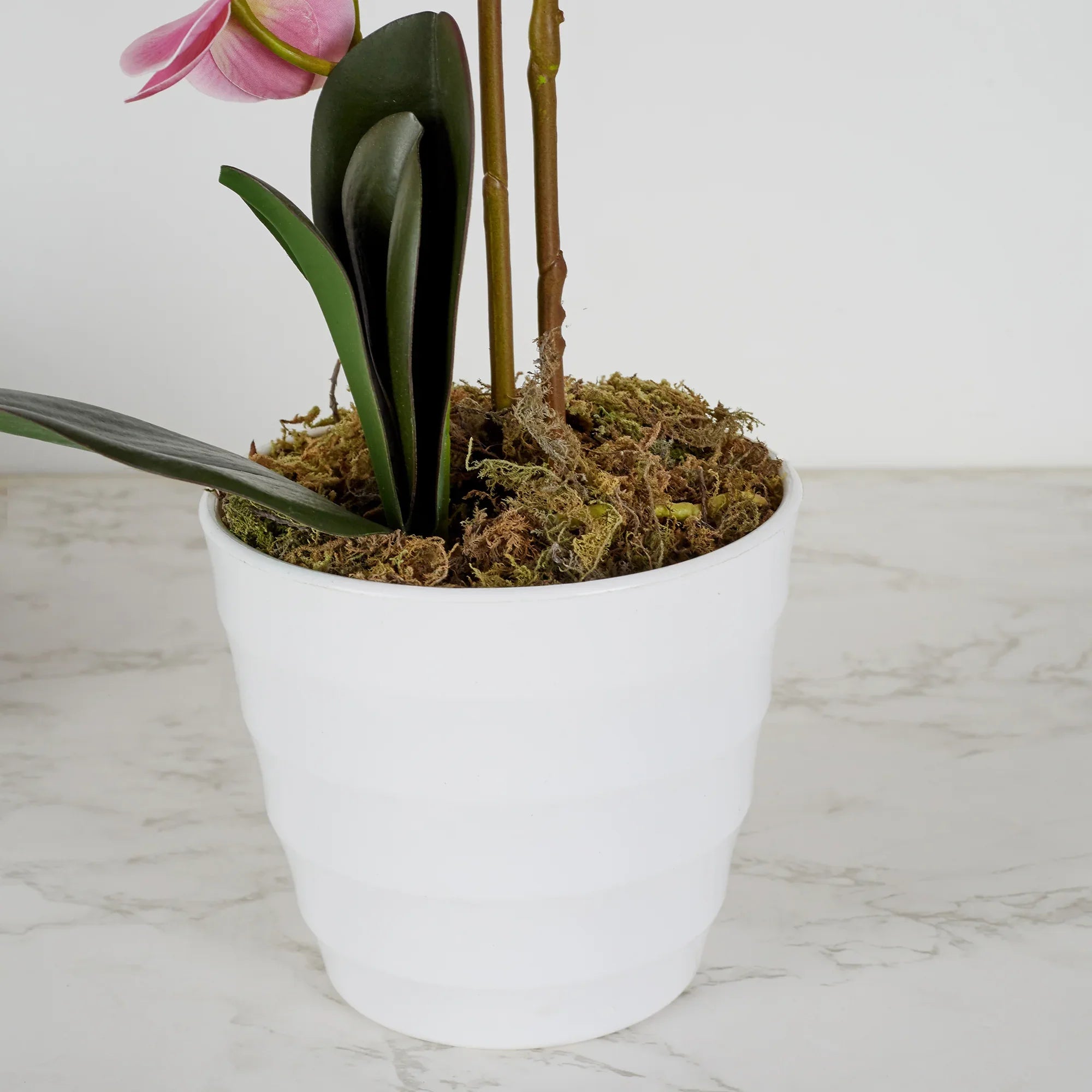 Ilana Artificial Orchid Potted Plant 45Cm in Pink Colour - HomeTown