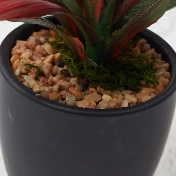 Ilana  Faux Dracaena Ceramic Potted Plant 21 Cm in Green Colour dimensions