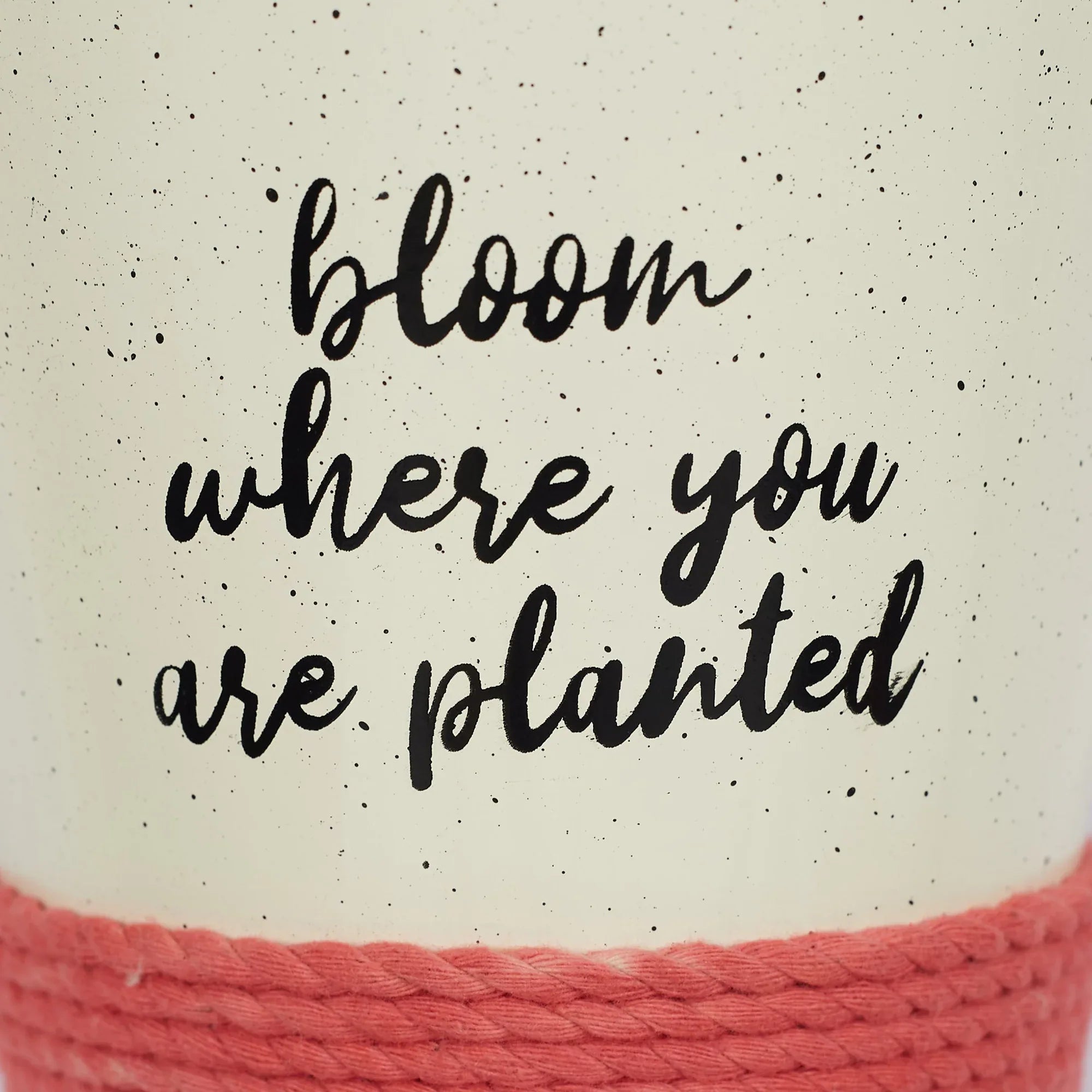 Pep Pop Metal Funky Quote Railing Planter 19Cm in Off White & Fuchsia Colour - HomeTown