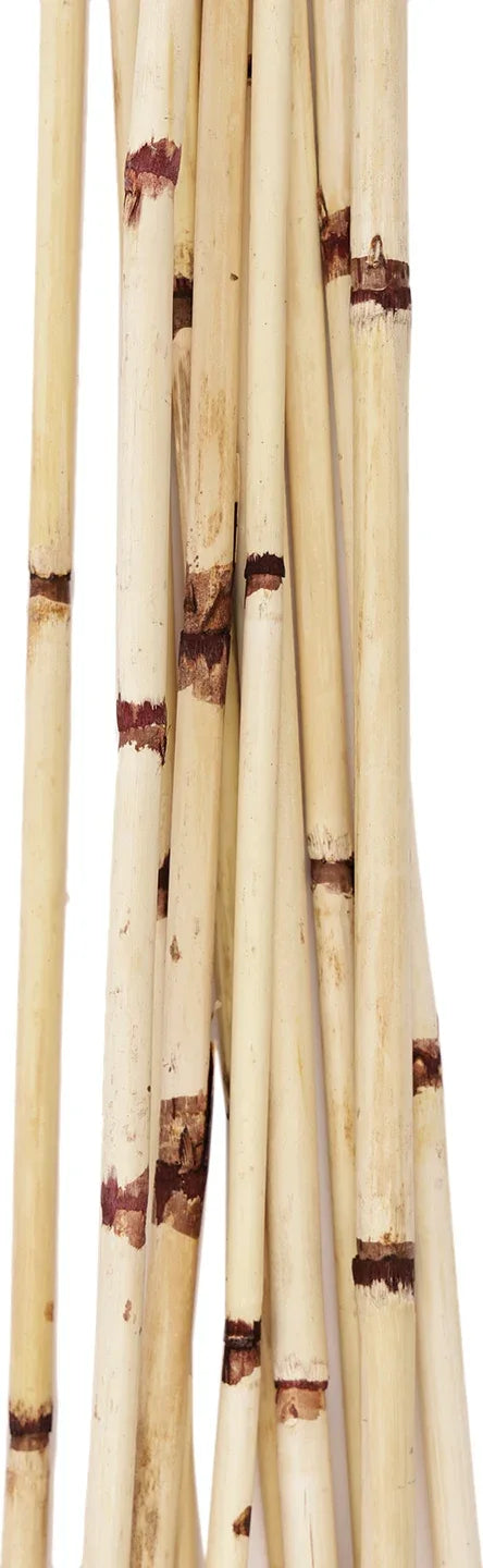 Forest Bamboo Sticks 9Nos 98cm in White Colour dimensions