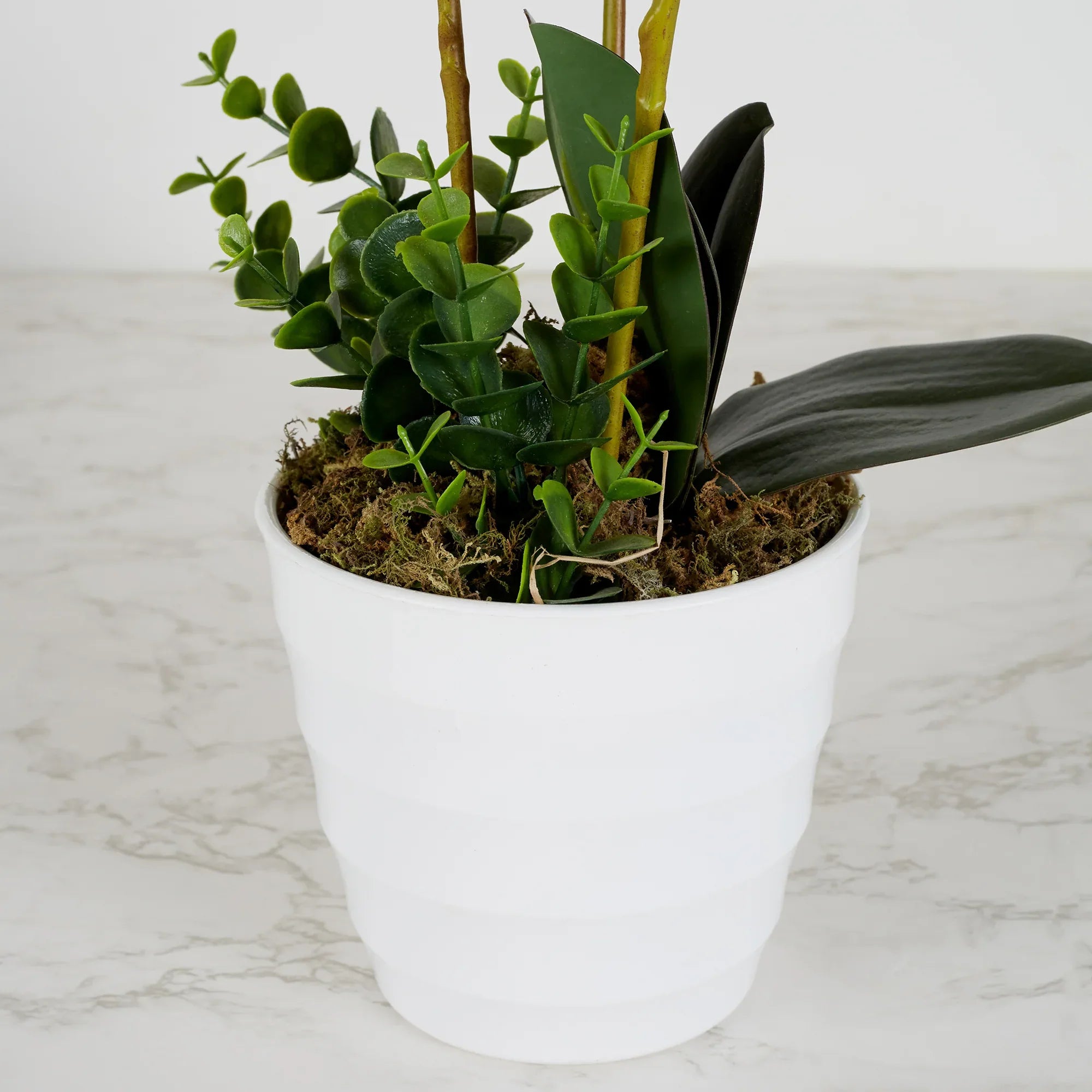 Ilana Artificial Orchid Potted Plant 60Cm in Pink Colour - HomeTown