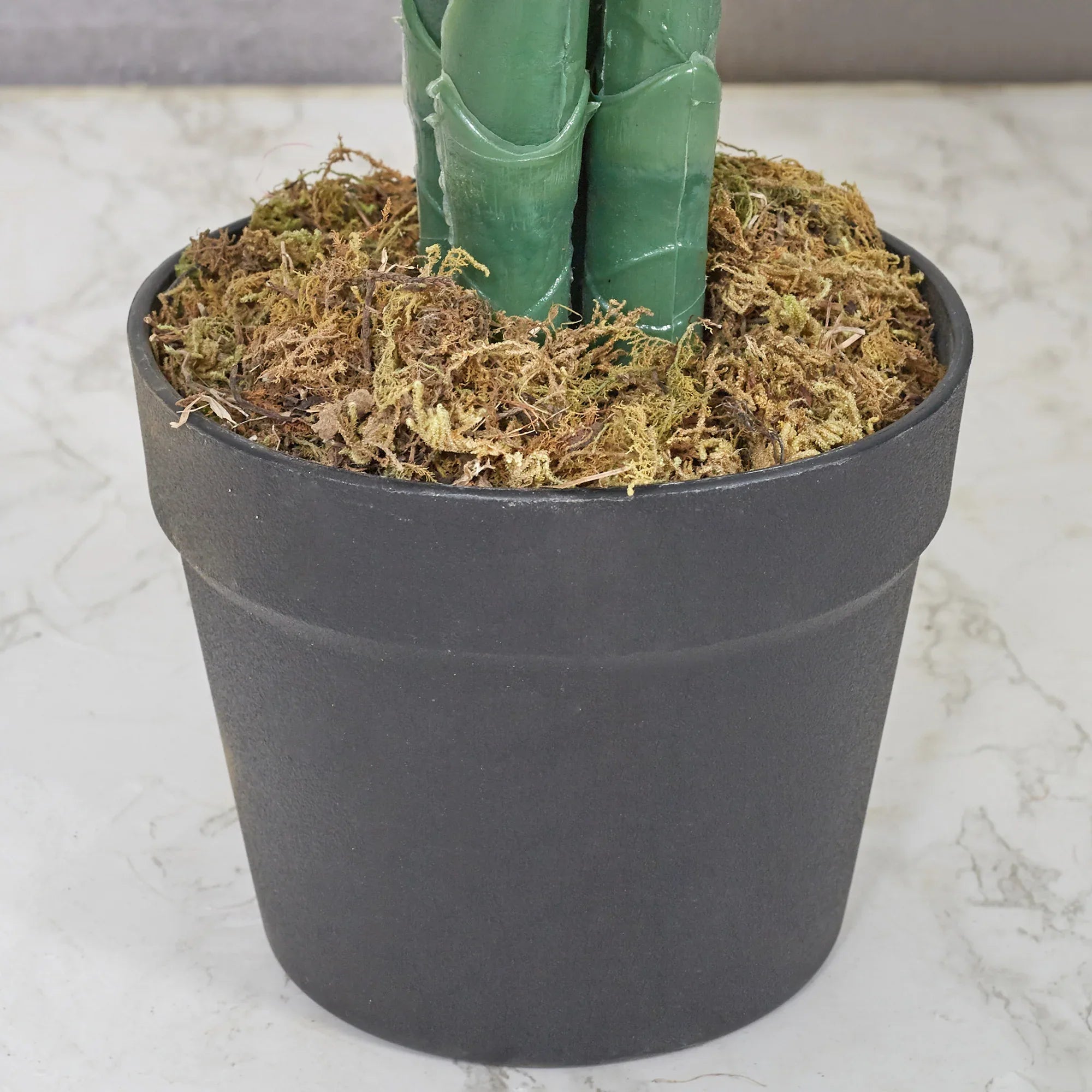 Ilana Artificial Palm Potted Tree 125Cm in Green Colour - HomeTown