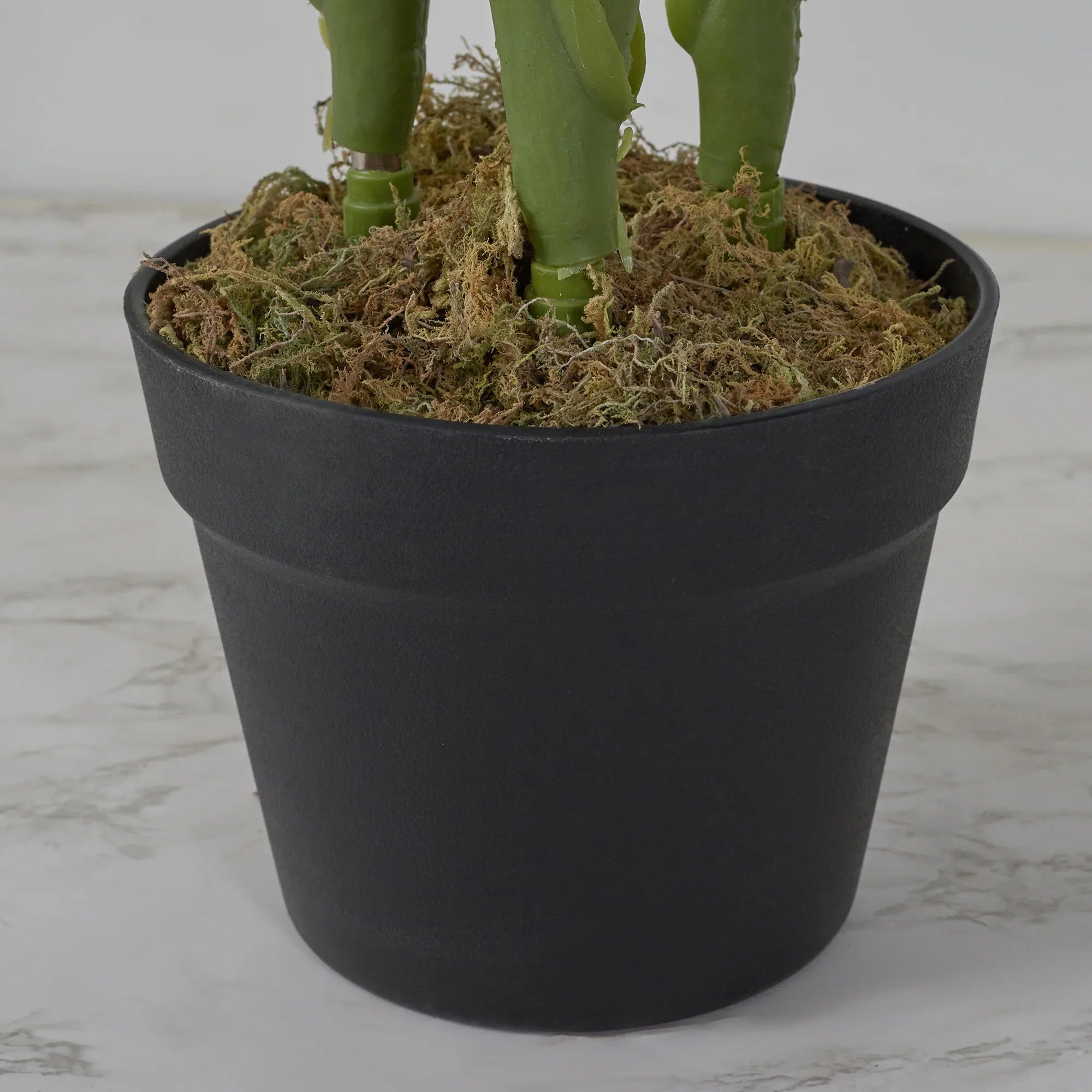 Ilana Artificial Paradise Bird Potted Plant 100Cm in Green Colour - HomeTown