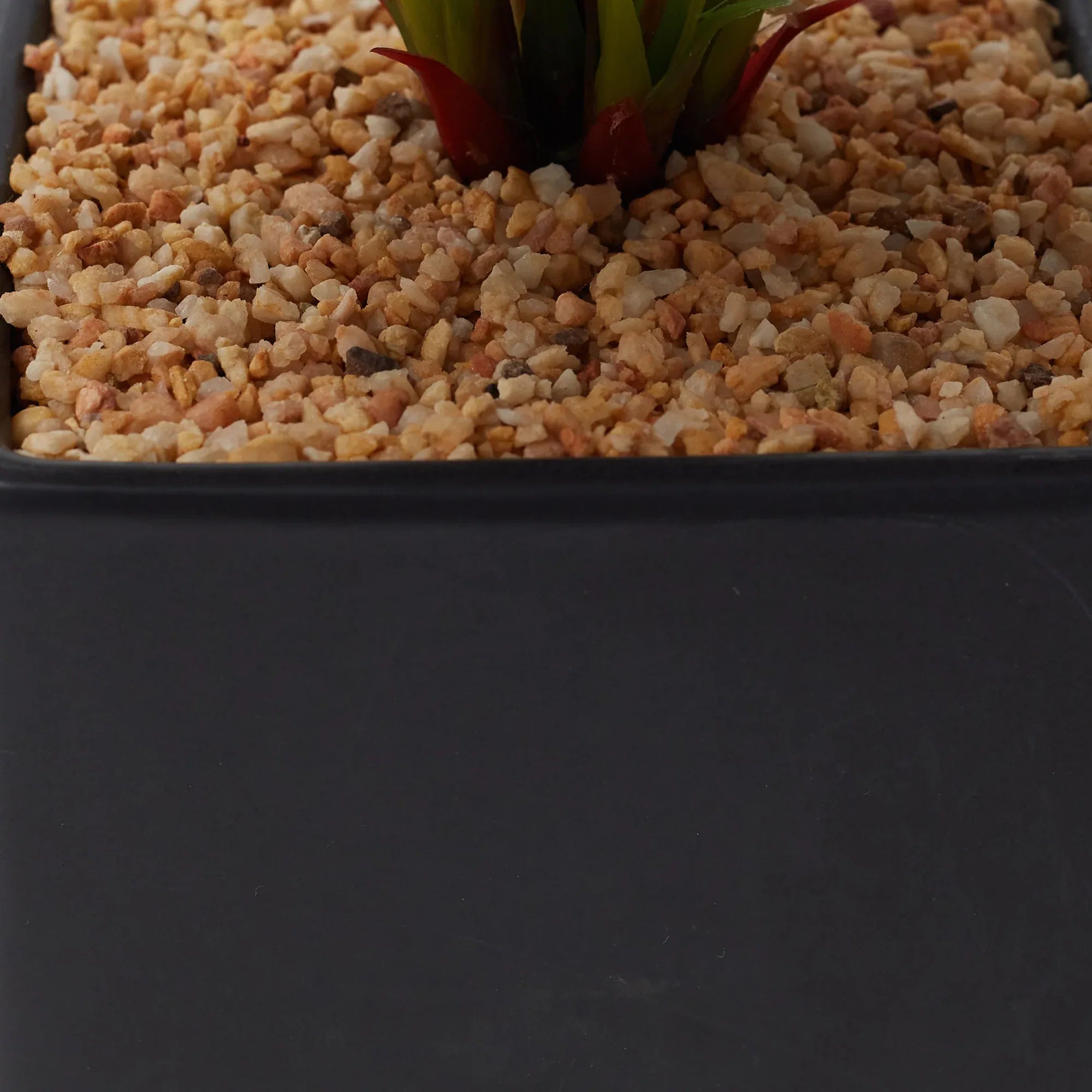 Ilana Faux Maranta Ceramic Potted Plant 45 Cm in Green Colour - HomeTown