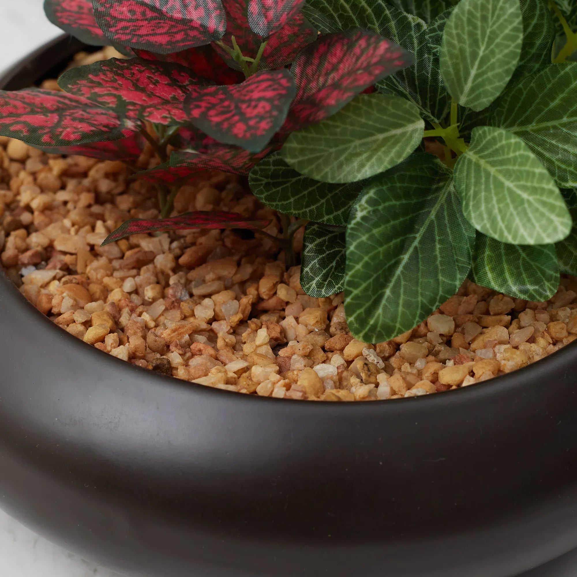 Ilana Faux Alocosia Ceramic Potted Plant 33 Cm in Green Colour - HomeTown