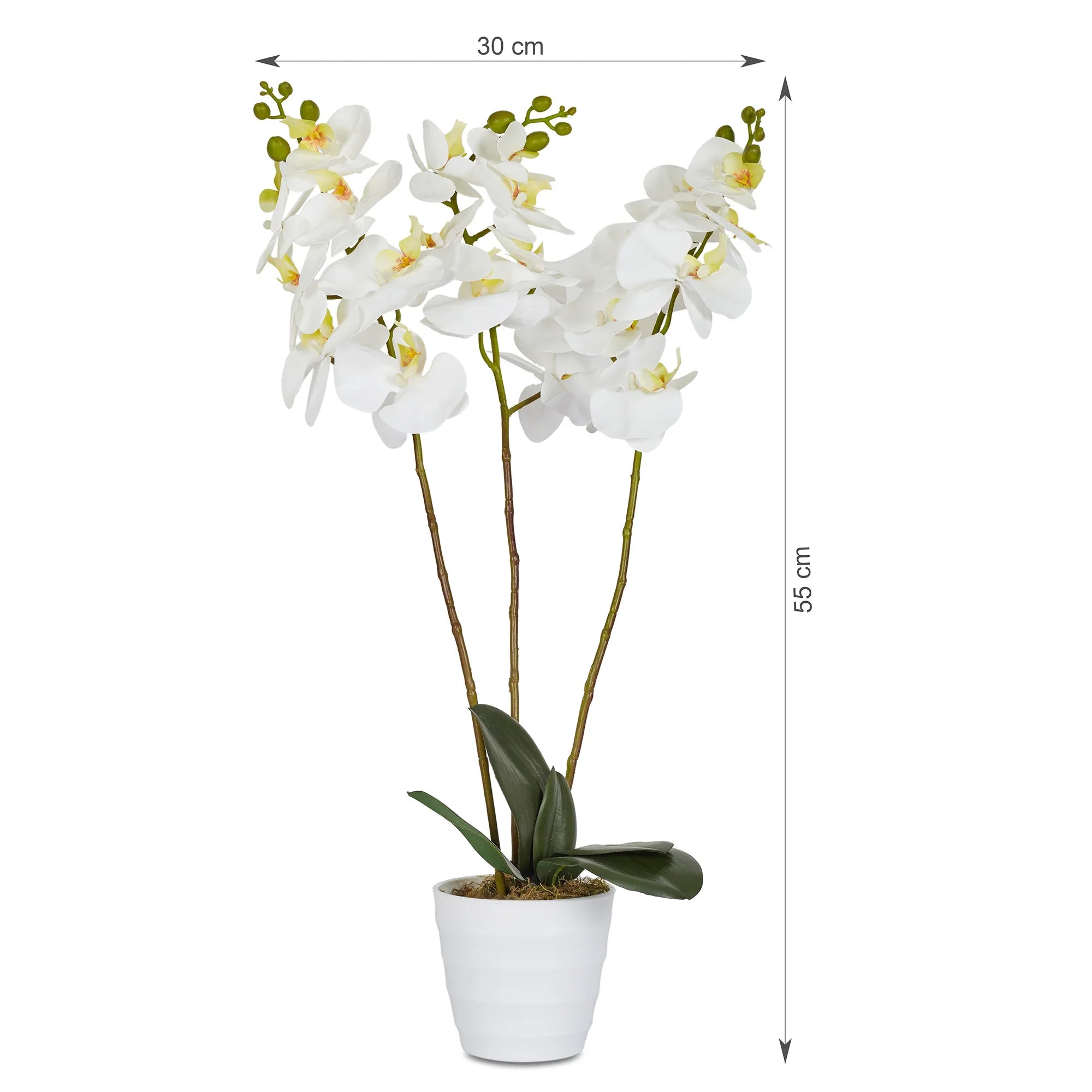 Ilana Artificial Orchid Potted Plant 55Cm in White Colour - HomeTown