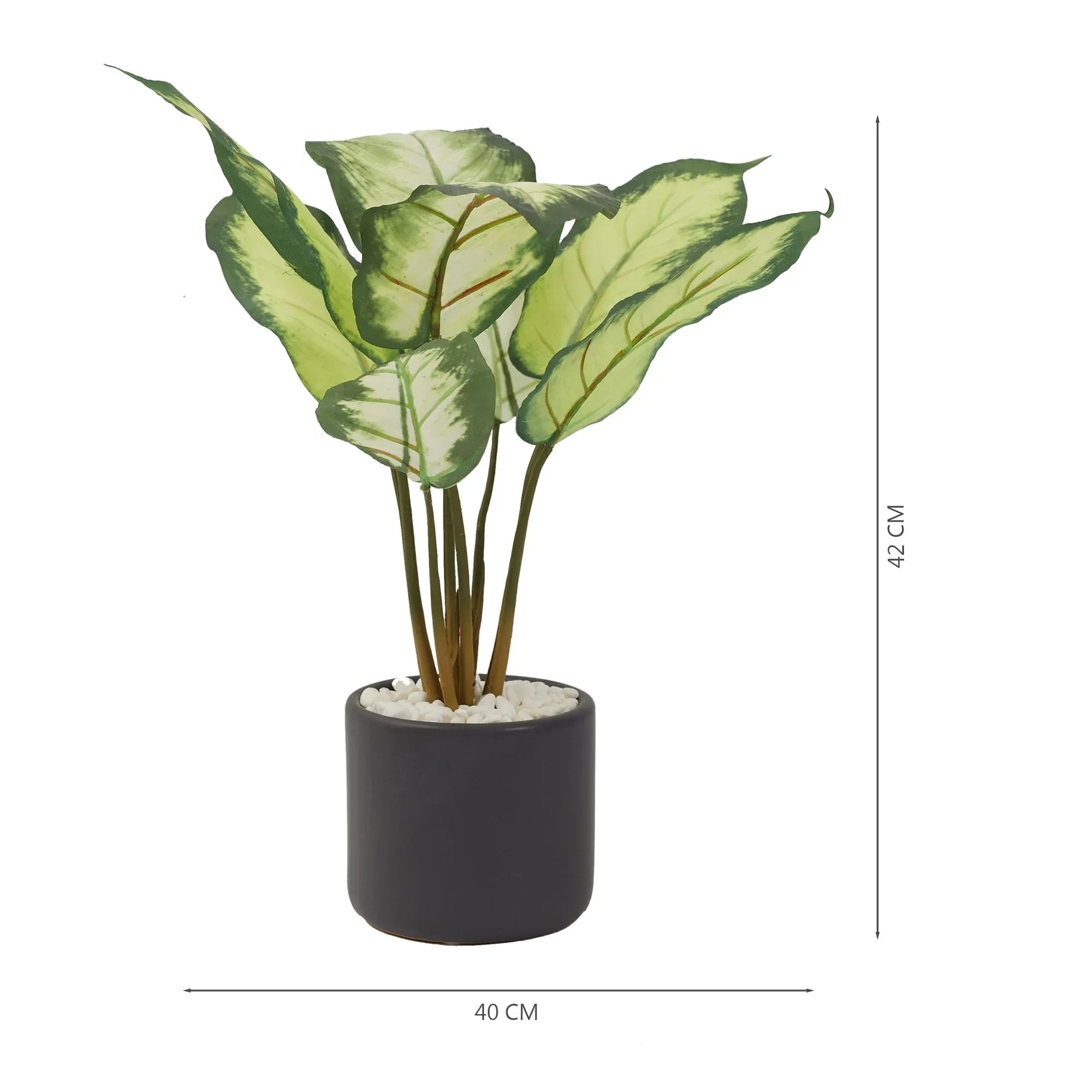 Ilana Faux Dieffenbachia Ceramic Potted Plant 42 Cm in Green Colour - HomeTown